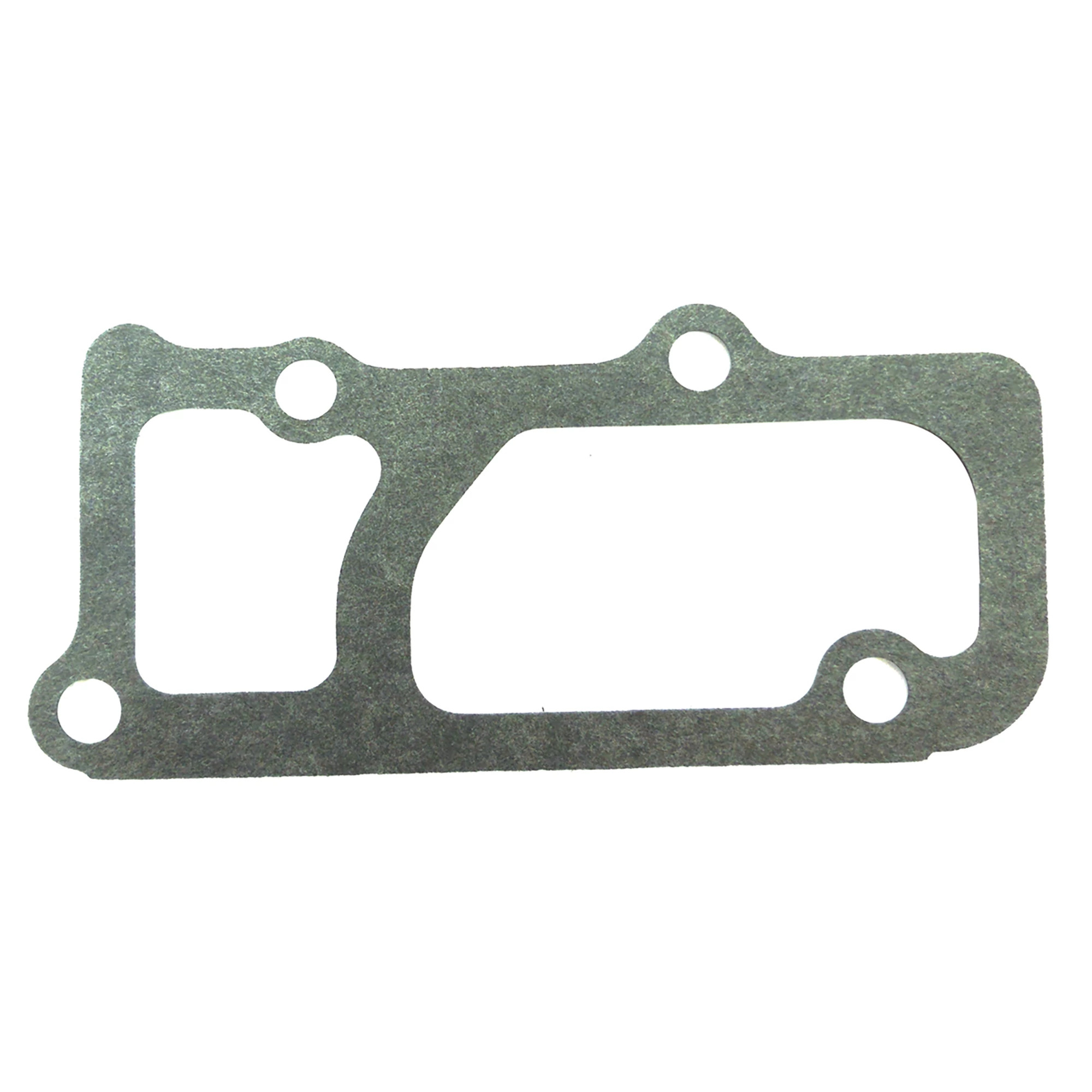 Water Pump Gasket - Backplate to Block | CASECE | US | EN
