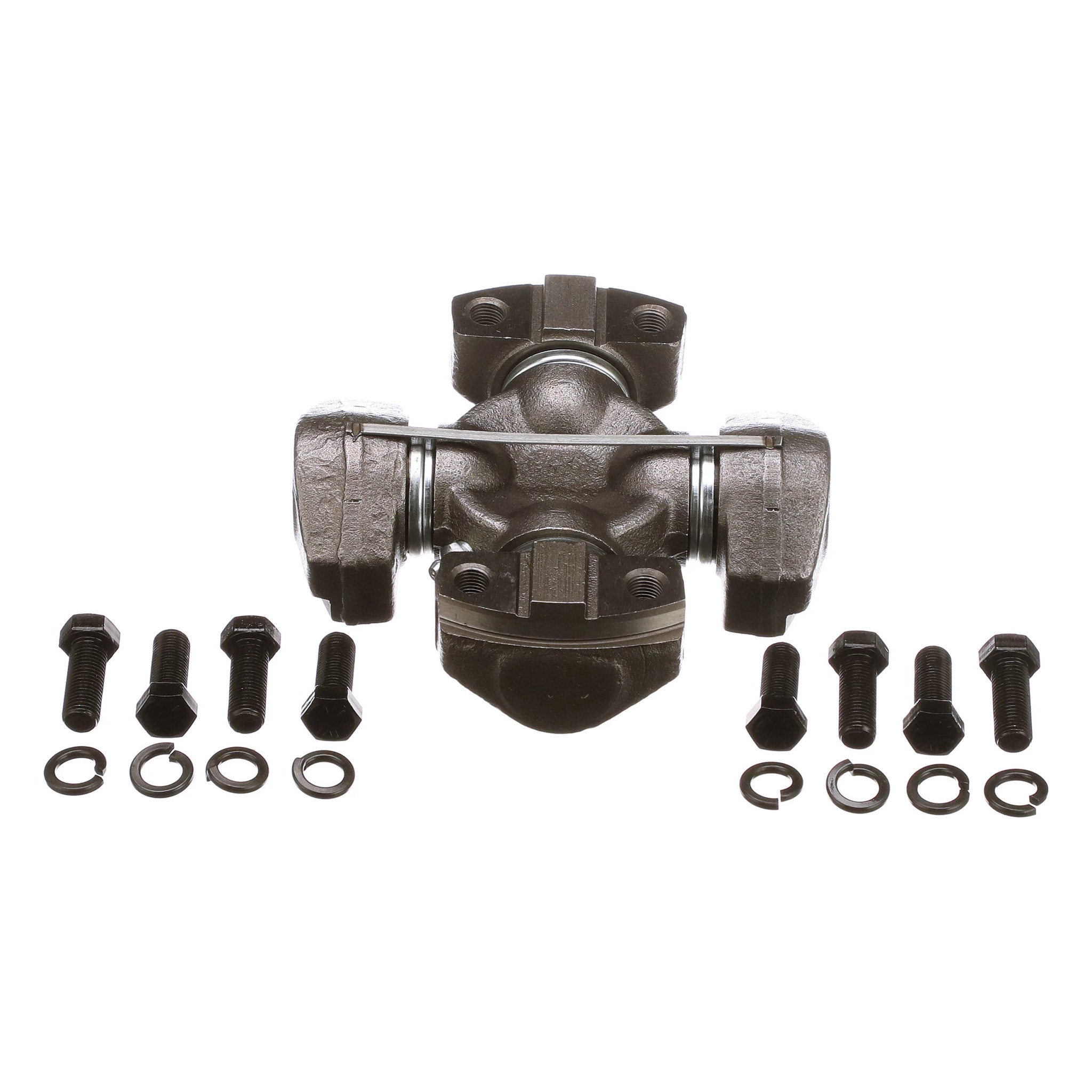 SPIDER | CASECE | SA | EN