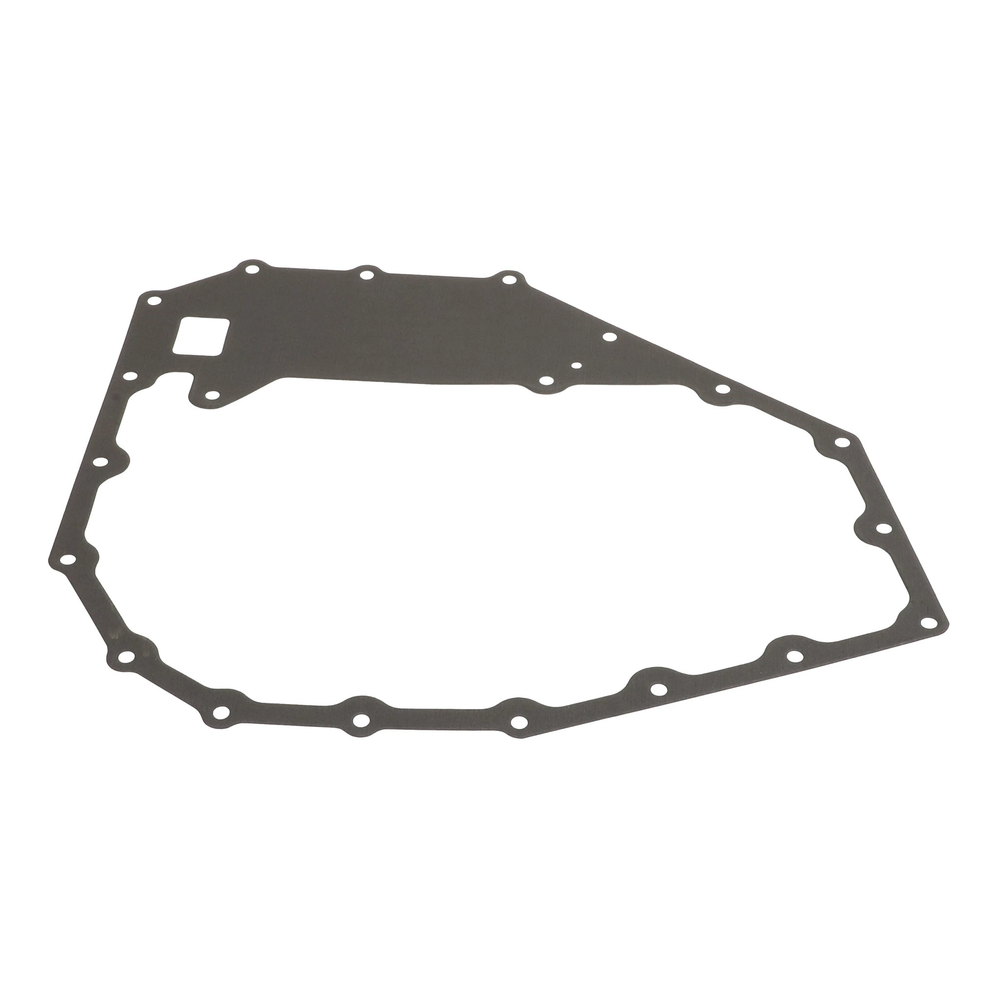 GASKET | FLEXICOIL | US | EN