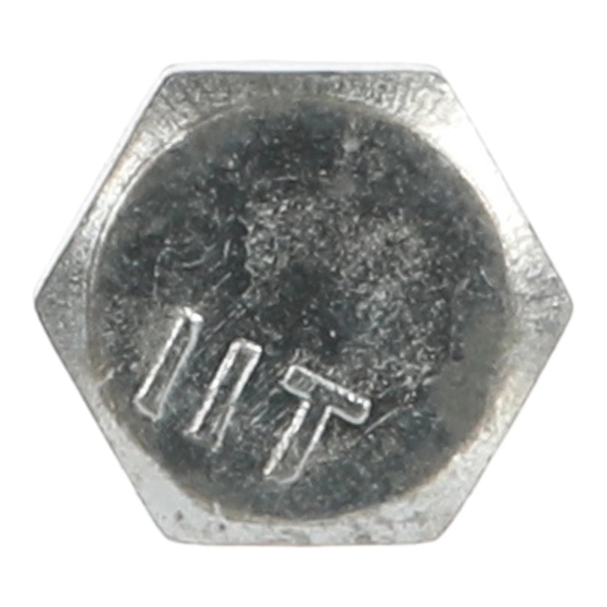 BOLT | CASECE | US | EN