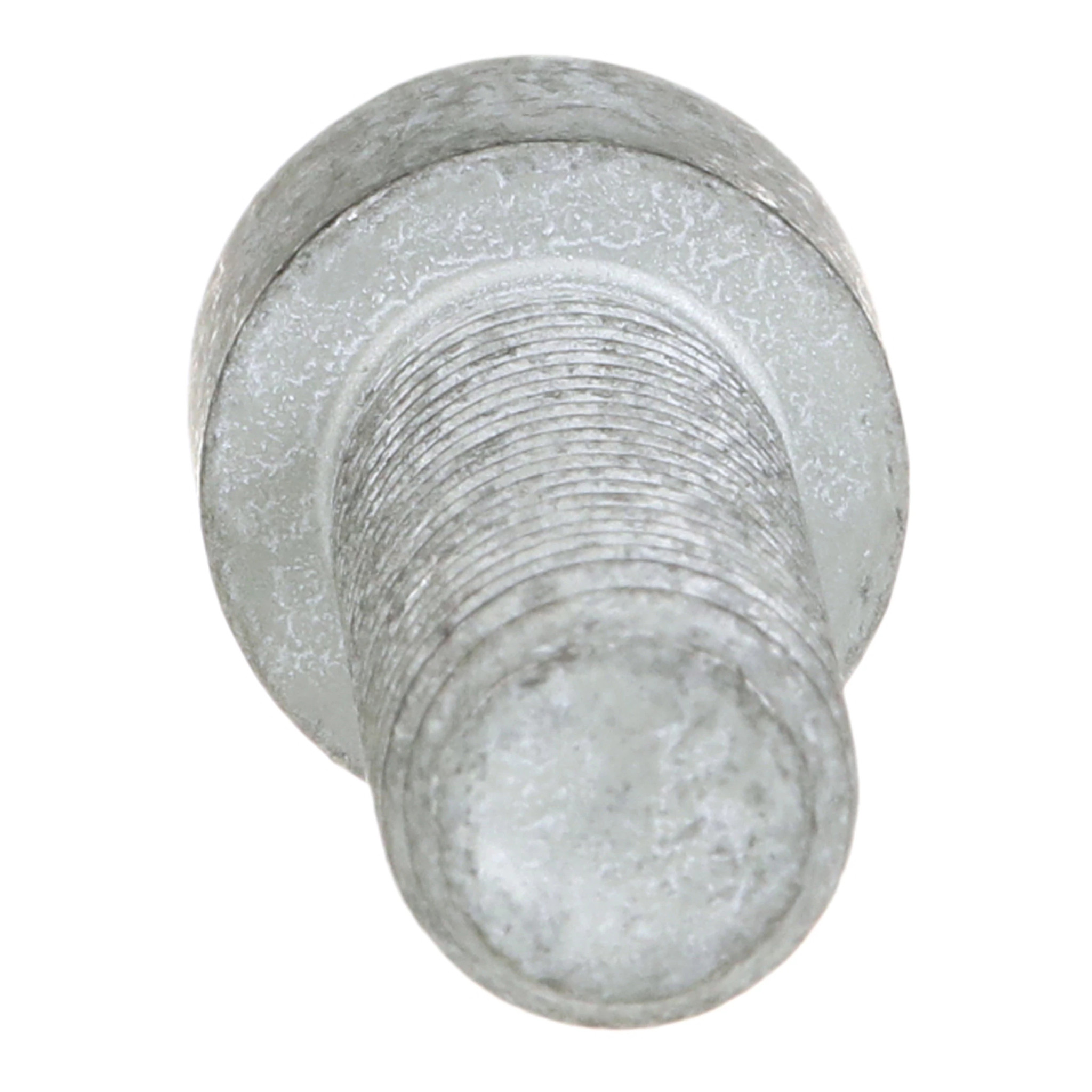 PARAFUSO ALLENA FLAN | CASECE | EU | IT