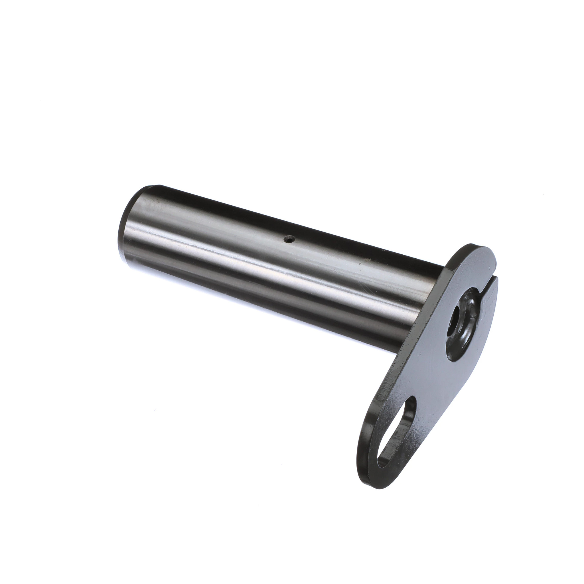 Pino | CASECE | BR | PT