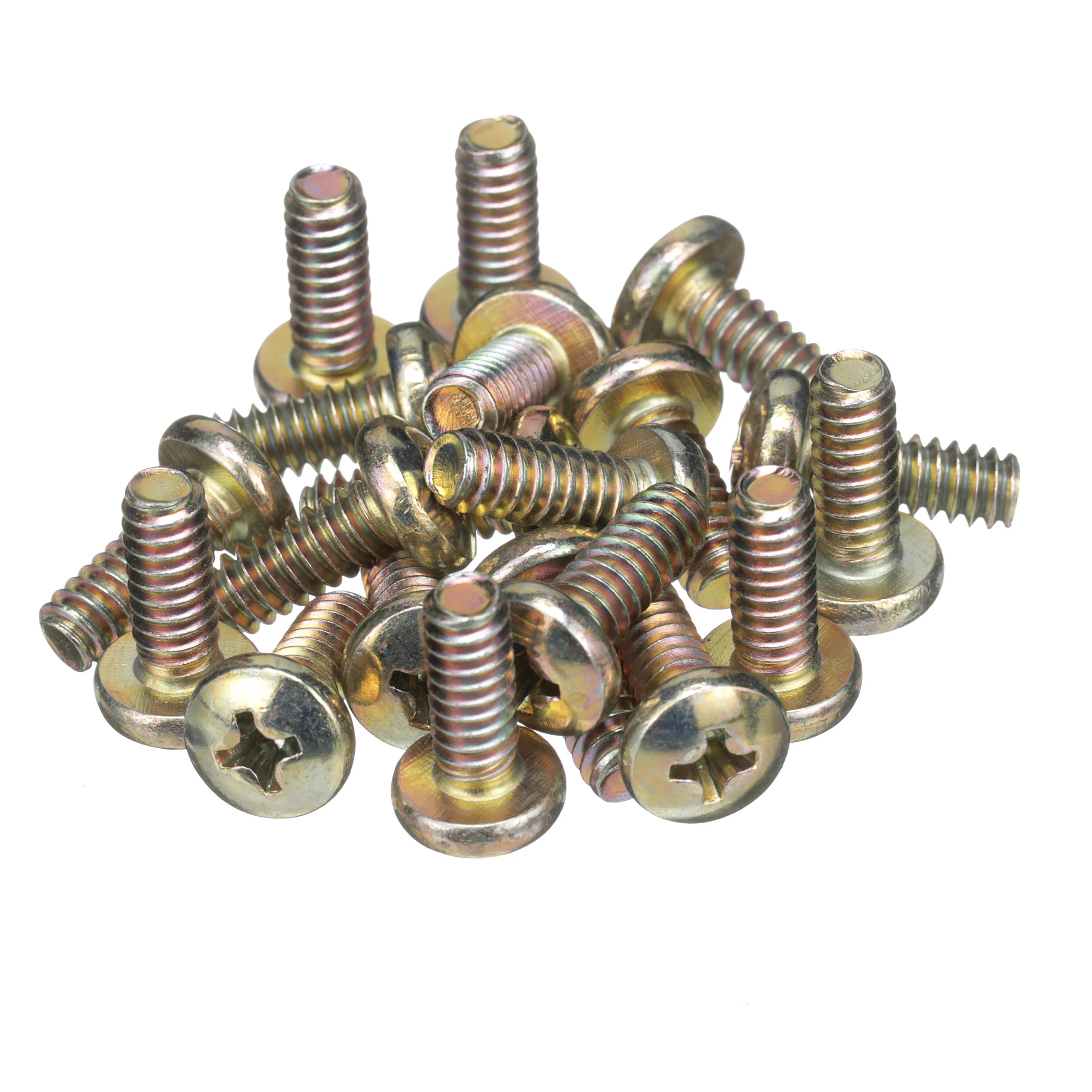 SCREW | CASECE | CA | EN