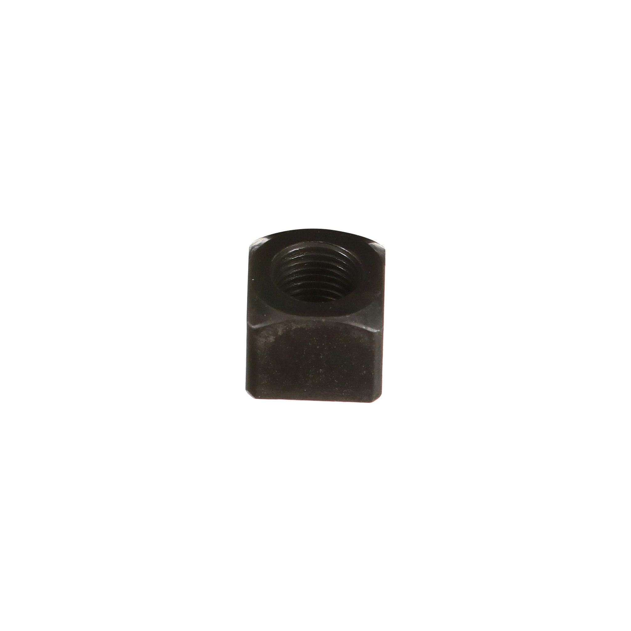 NUT | CASECE | CA | EN