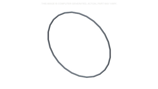 O-RING | NEWHOLLANDAG | EU | PL