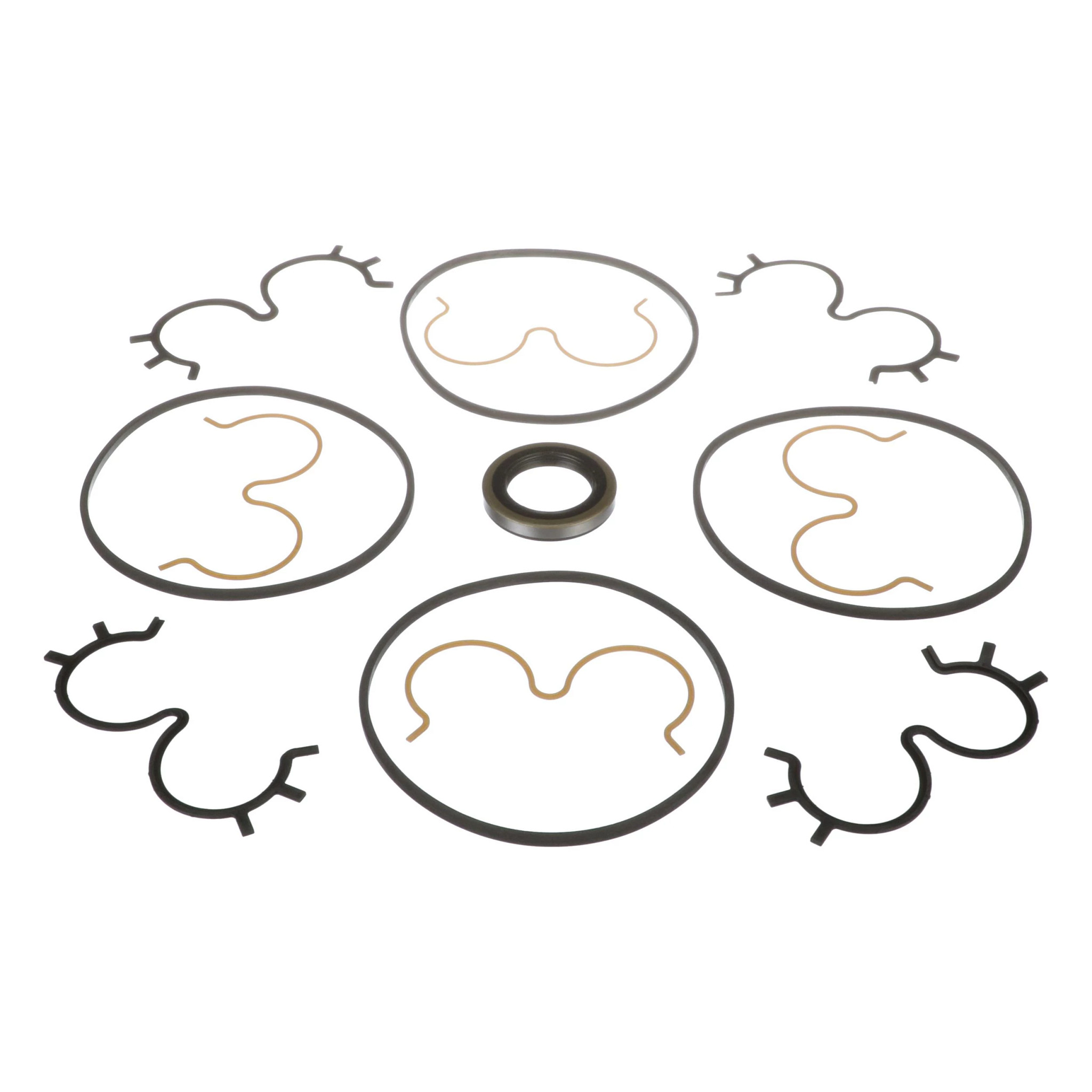 SEAL KIT | CASEIH | IE | EN