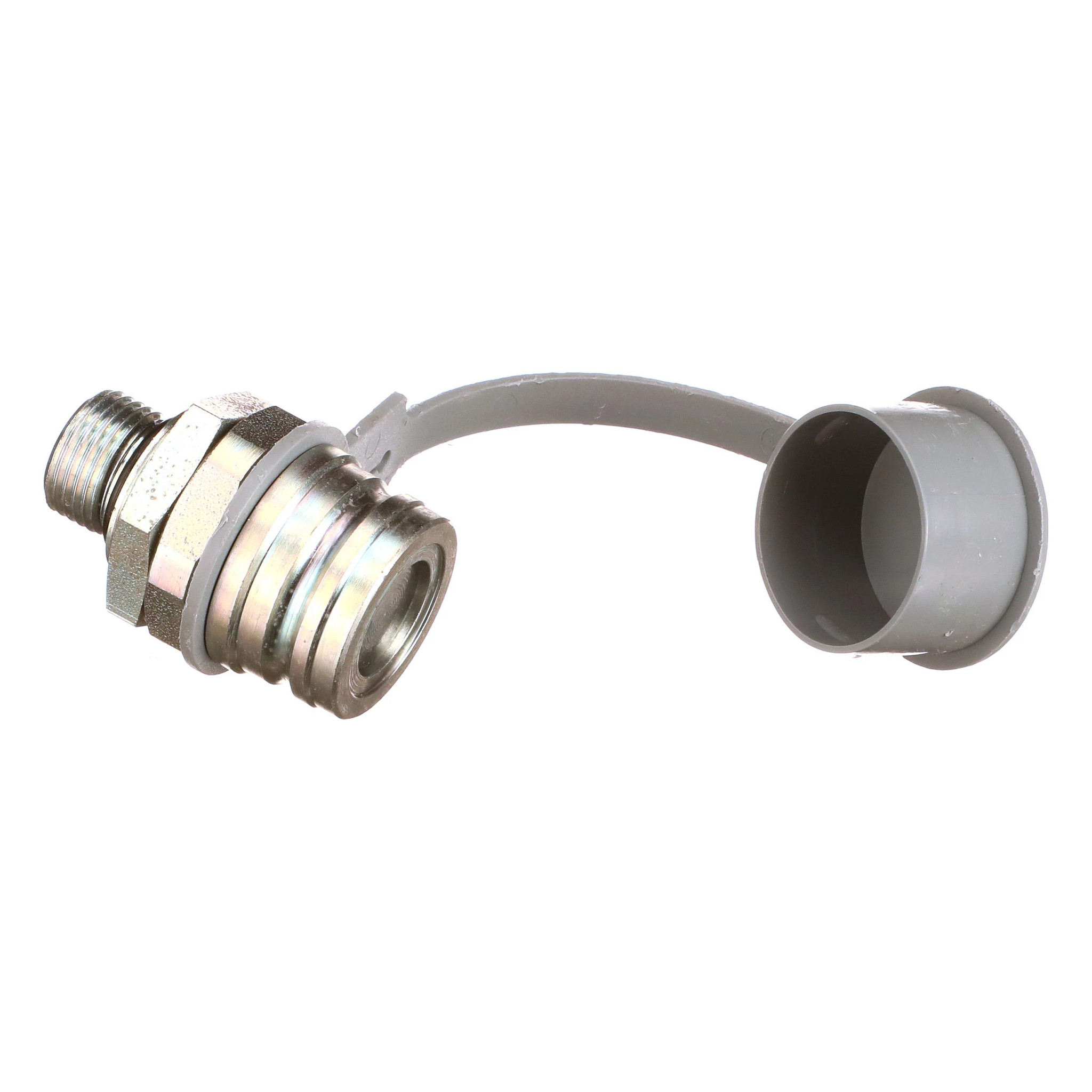 QUICK FEMALE COUPLING | CASEIH | EU | PT