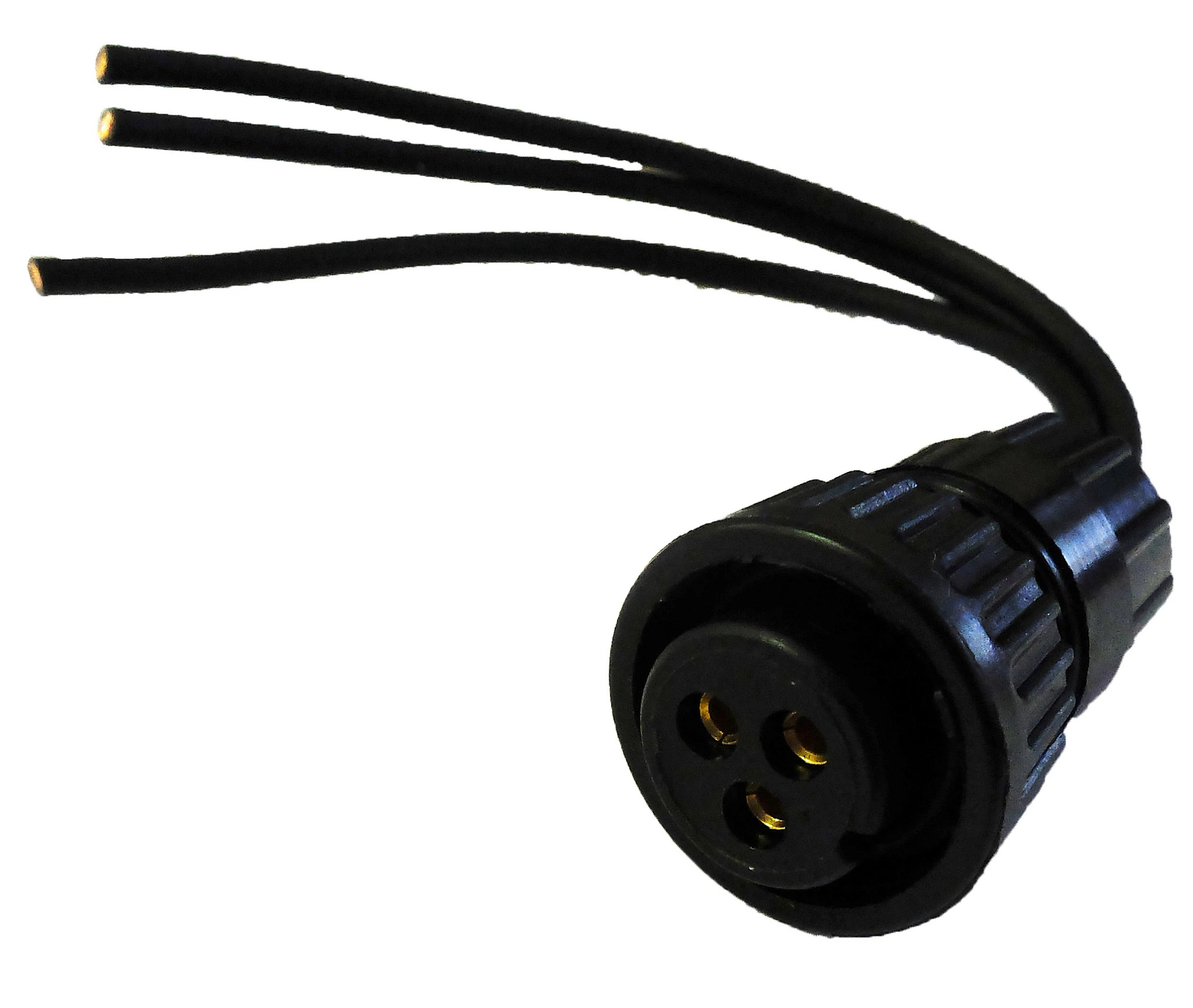 Elec Connector | CASECE | US | EN
