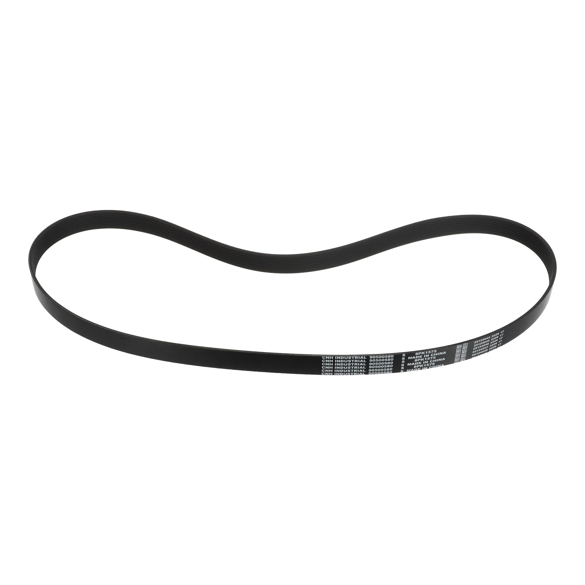 BELT | CASECE | US | EN