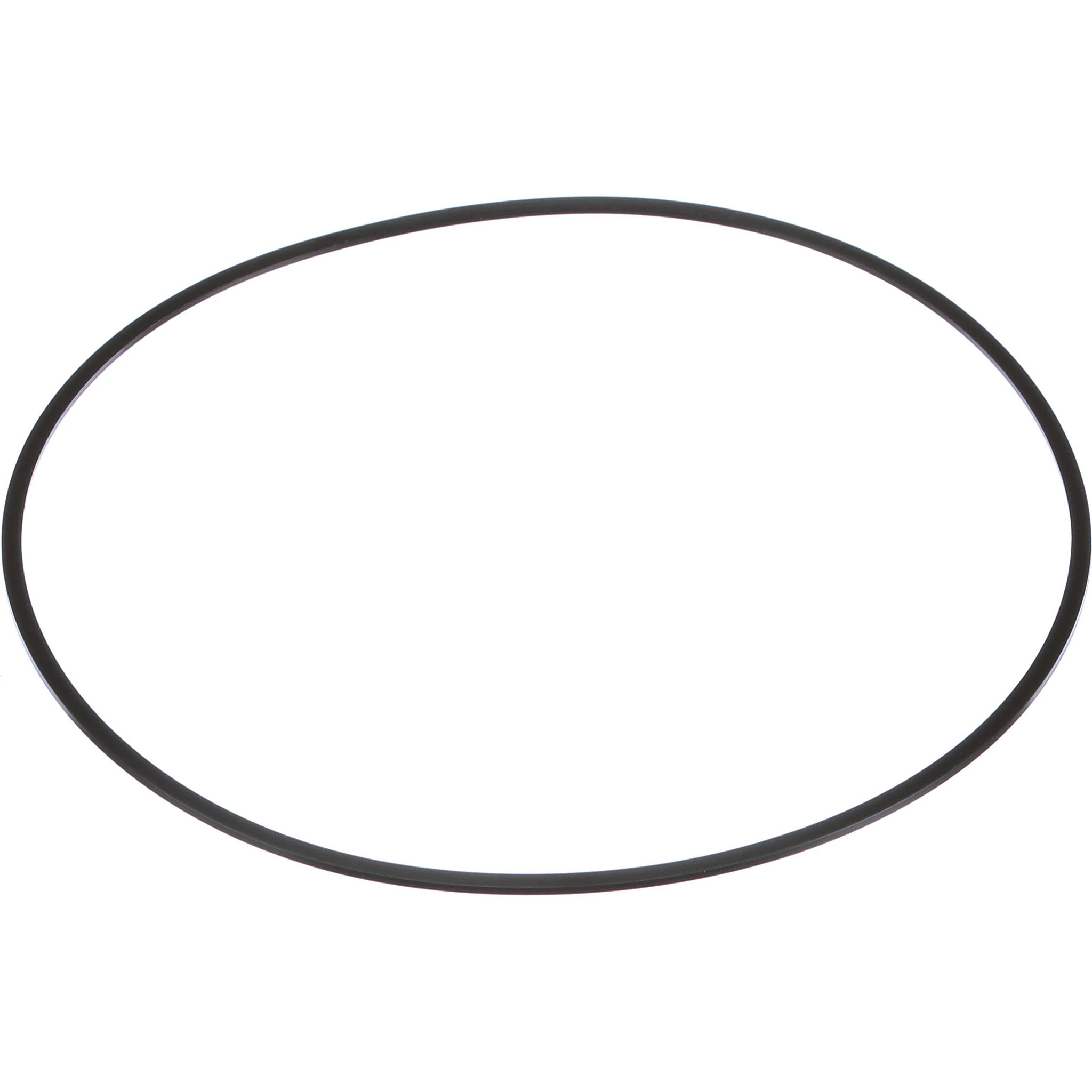 SEALING RING | NEWHOLLANDAG | SA | EN