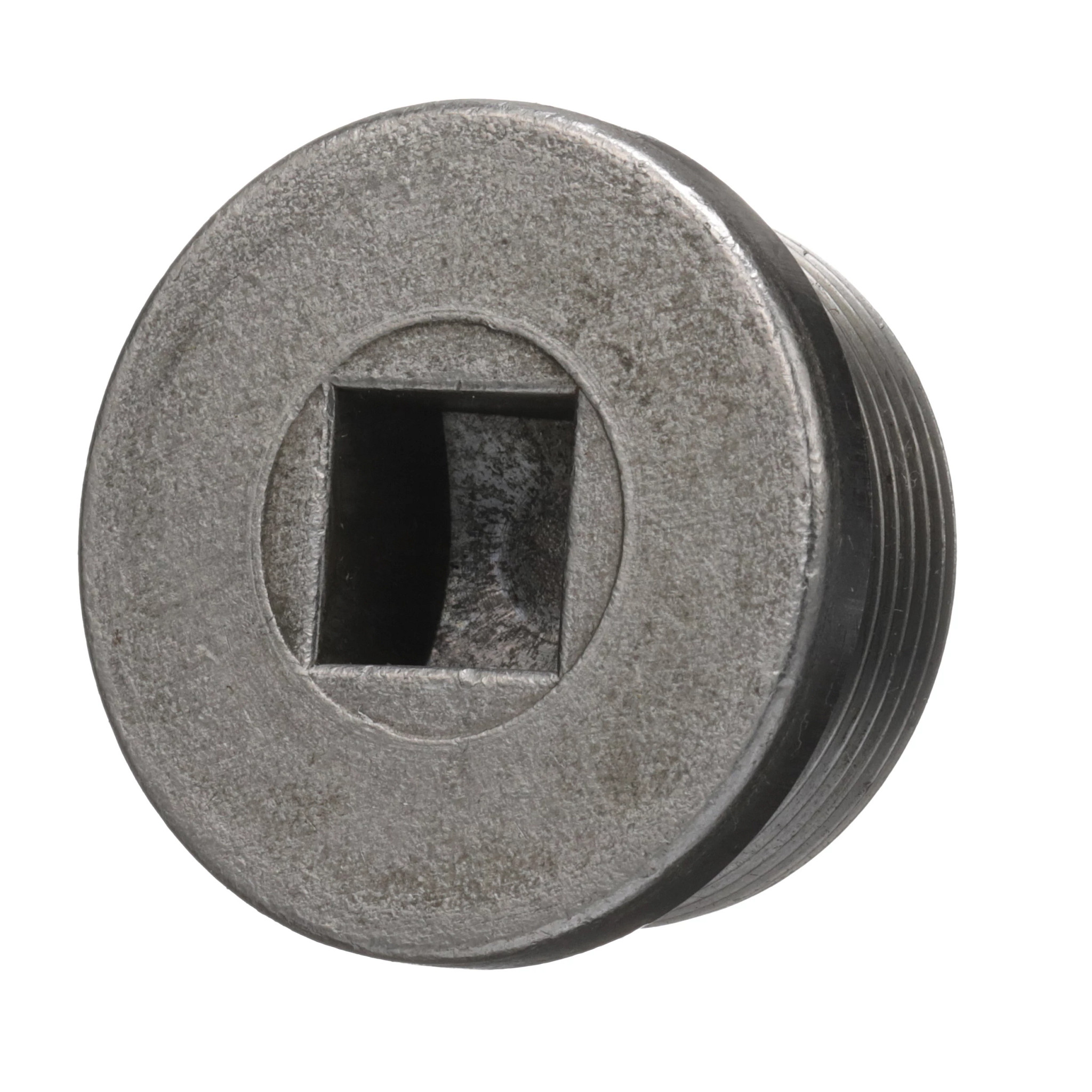 Oil Level Plug | CASECE | BR | PT