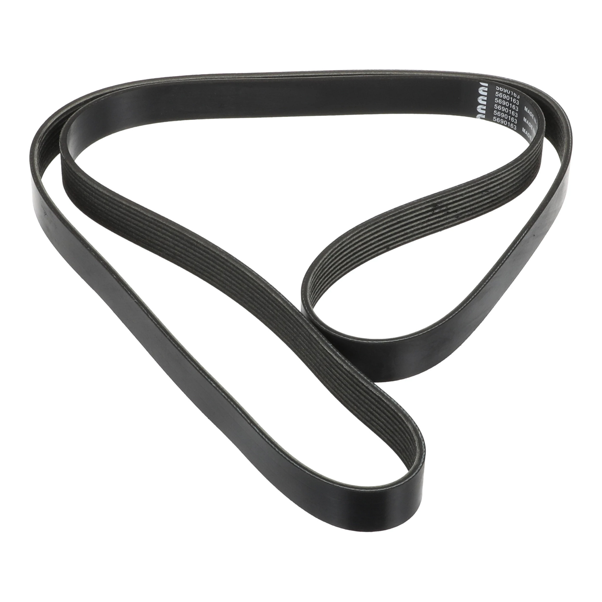 Courroie d'entraînement | CASECE | CA | FR