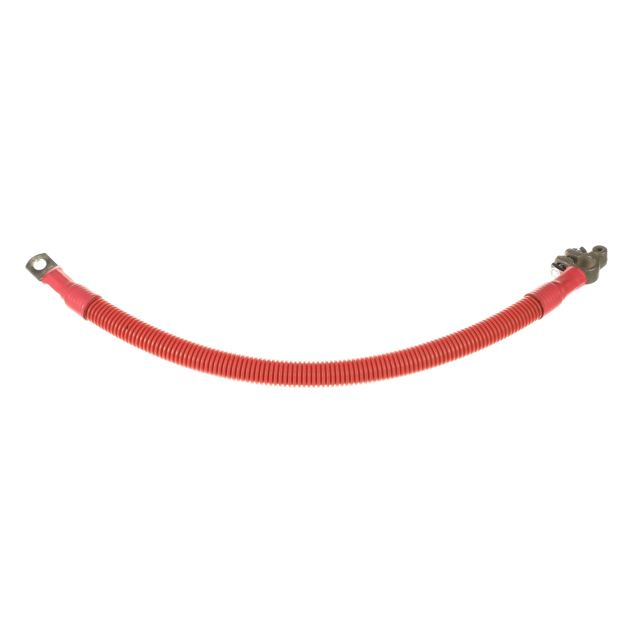 CABLE | CASECE | NZ | EN