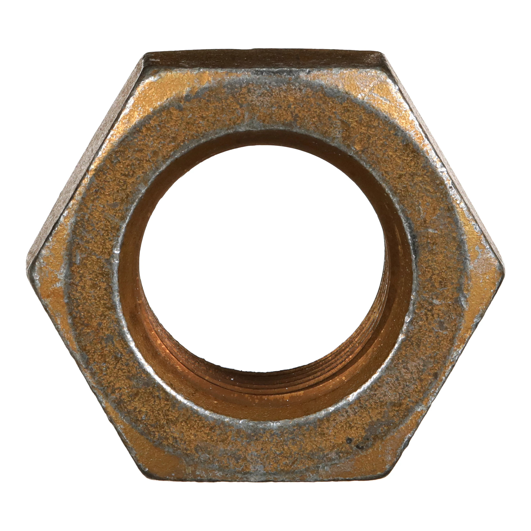 NUT | CASECE | US | EN