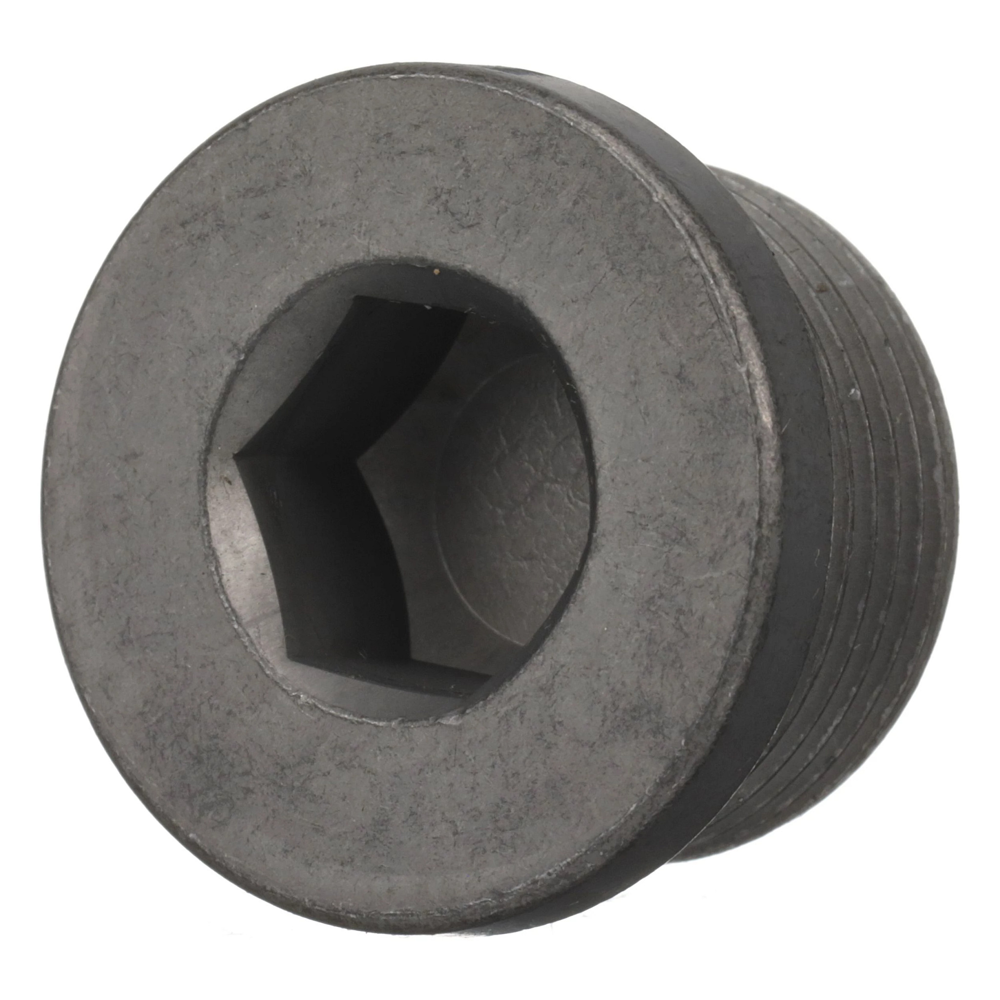 Screw Plug | CASECE | CA | EN