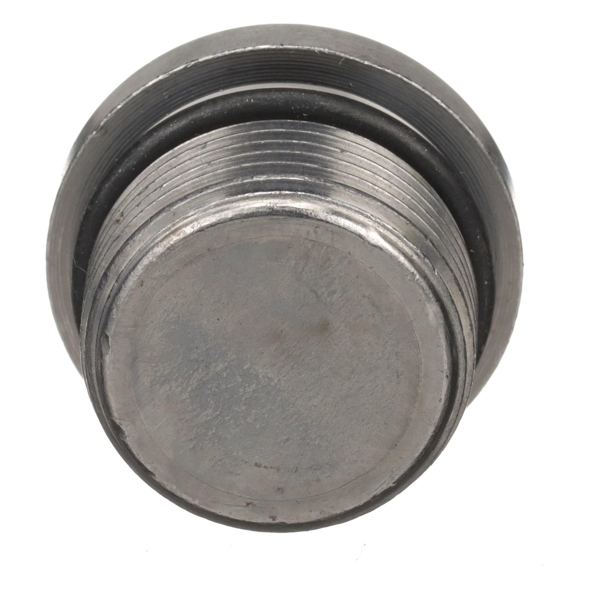 PLUG | CASECE | US | EN