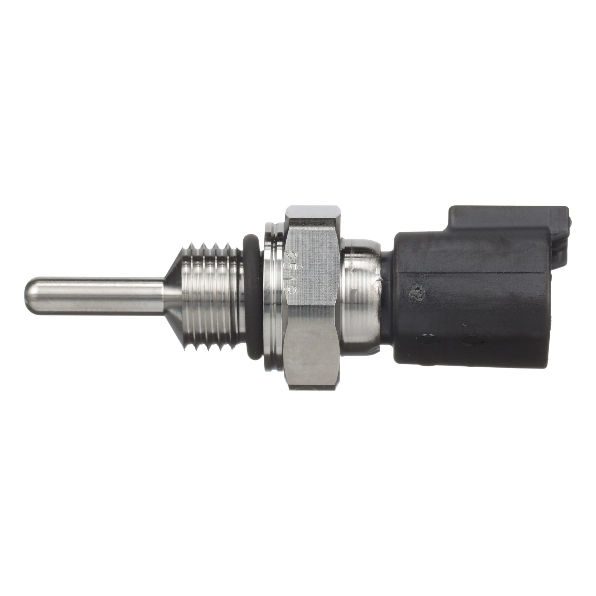 TERMOSONDA | CASECE | EU | PT