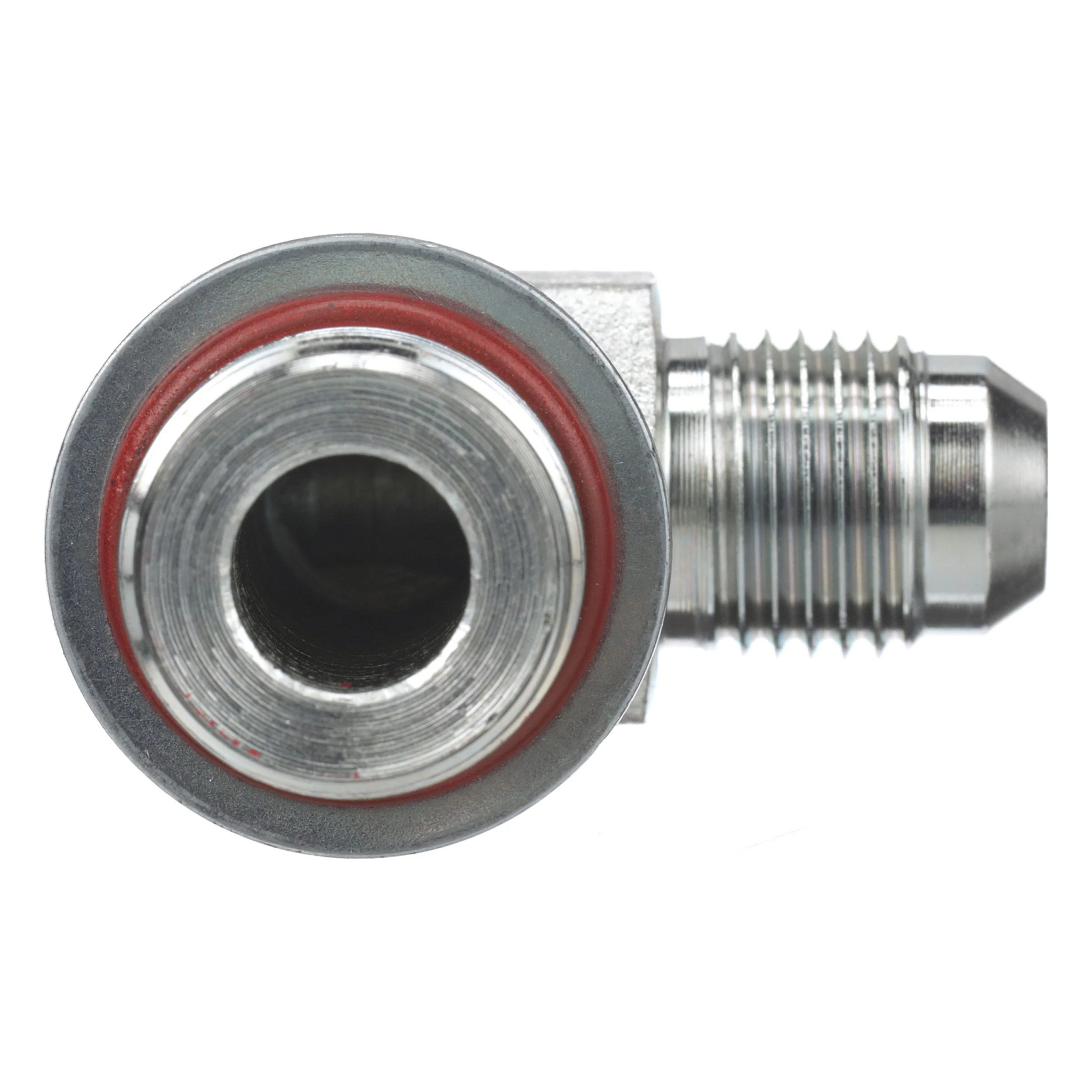 GOMITO | CASECE | EU | IT