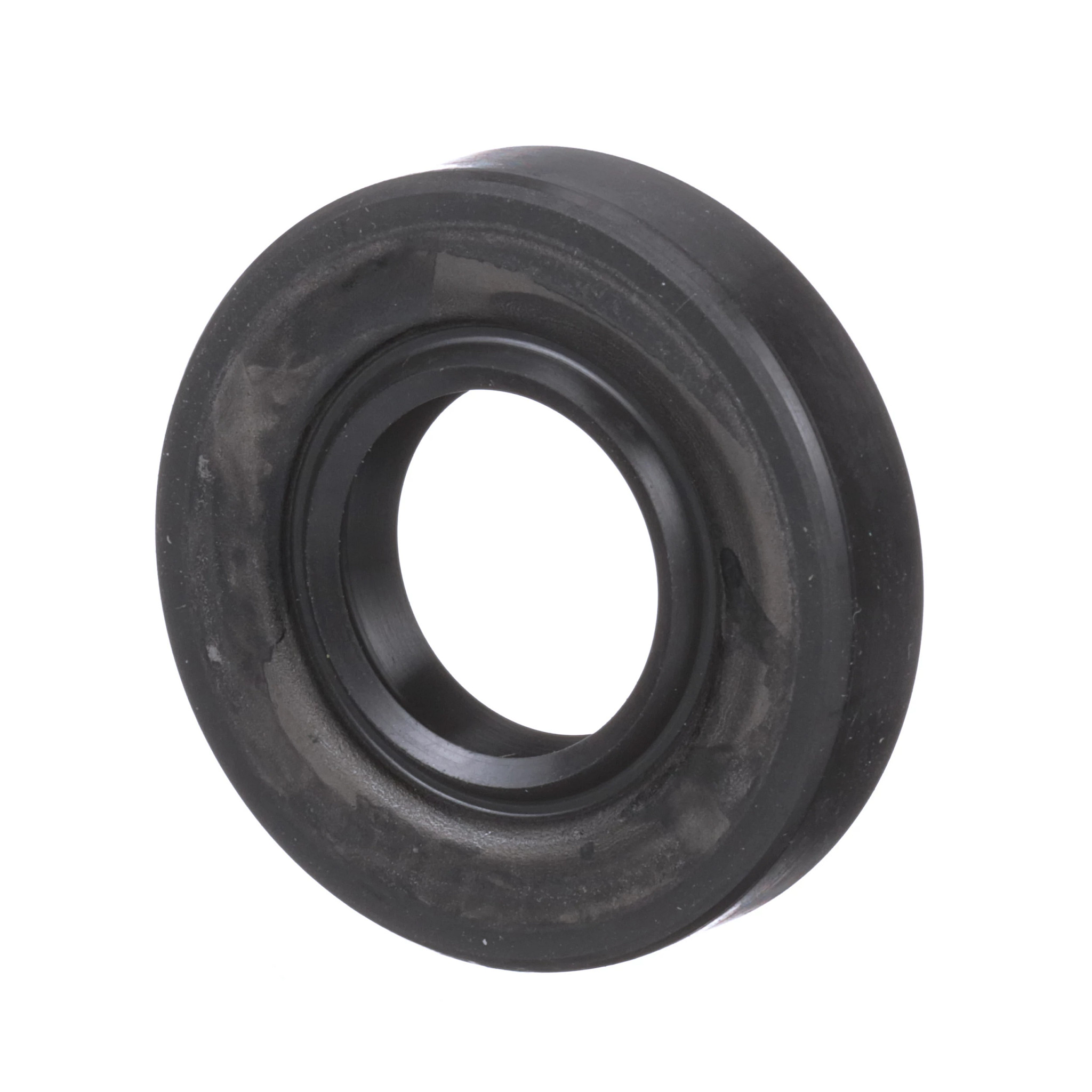 Oil Seal | CASECE | BR | PT