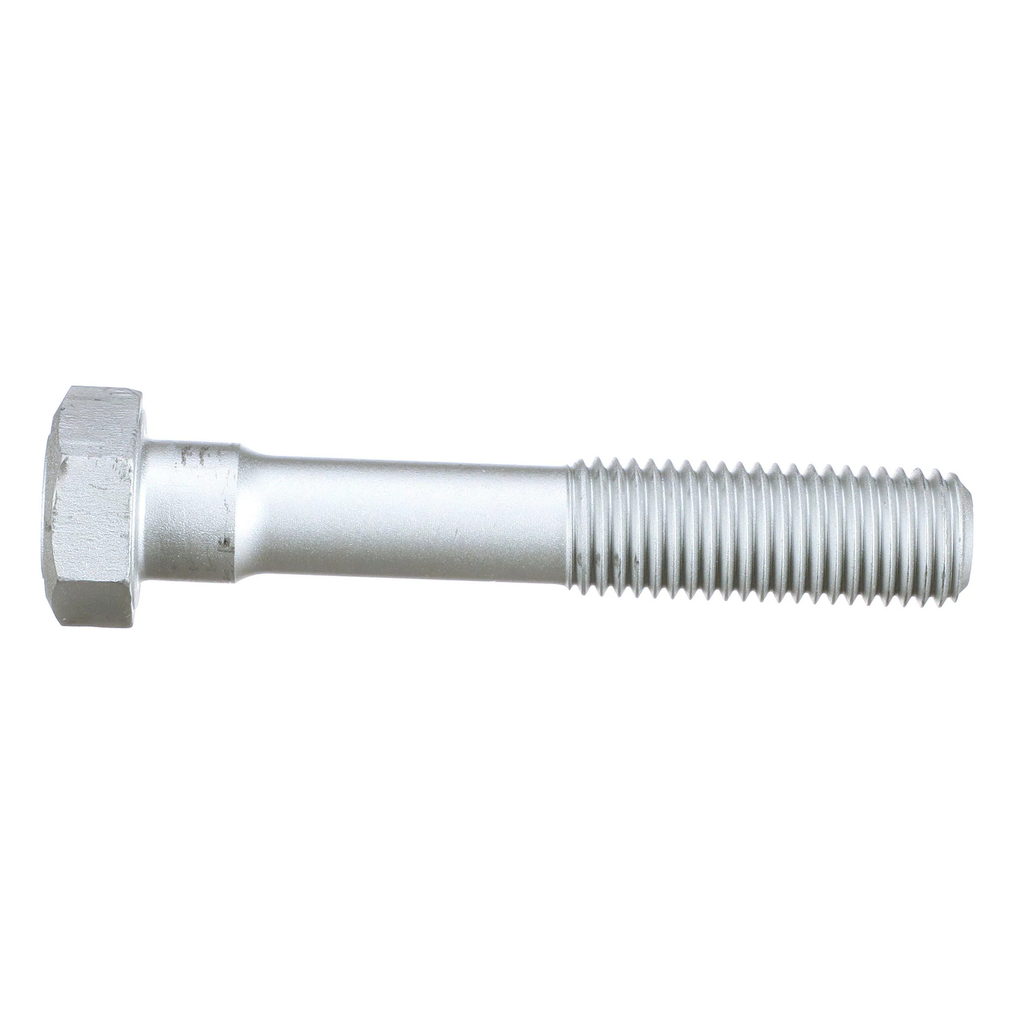 BOLT | CASECE | CA | EN