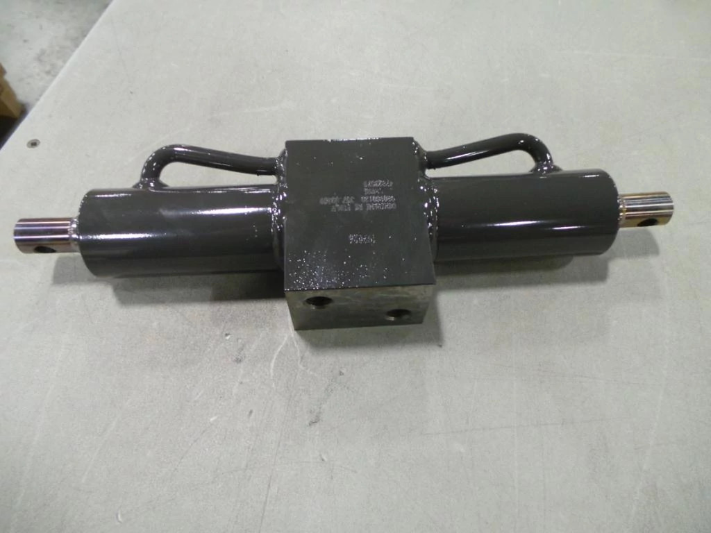 HYDRAULIC CYLINDER | CASECE | US | EN