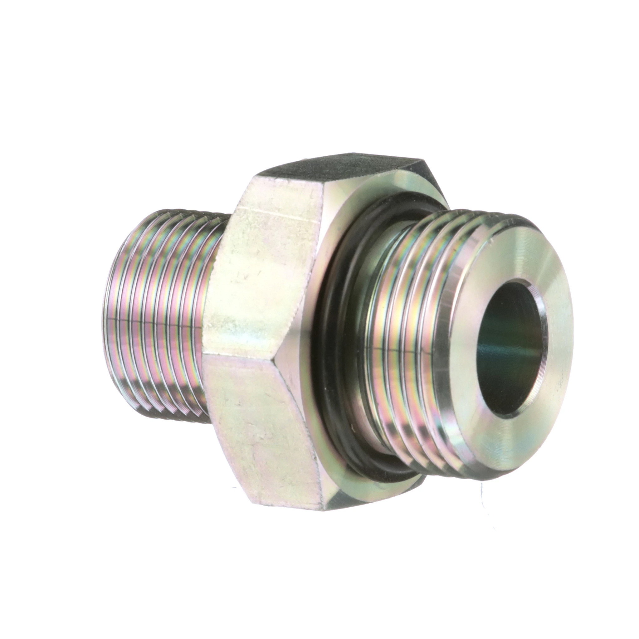 CONEXÃO | CASECE | BR | PT