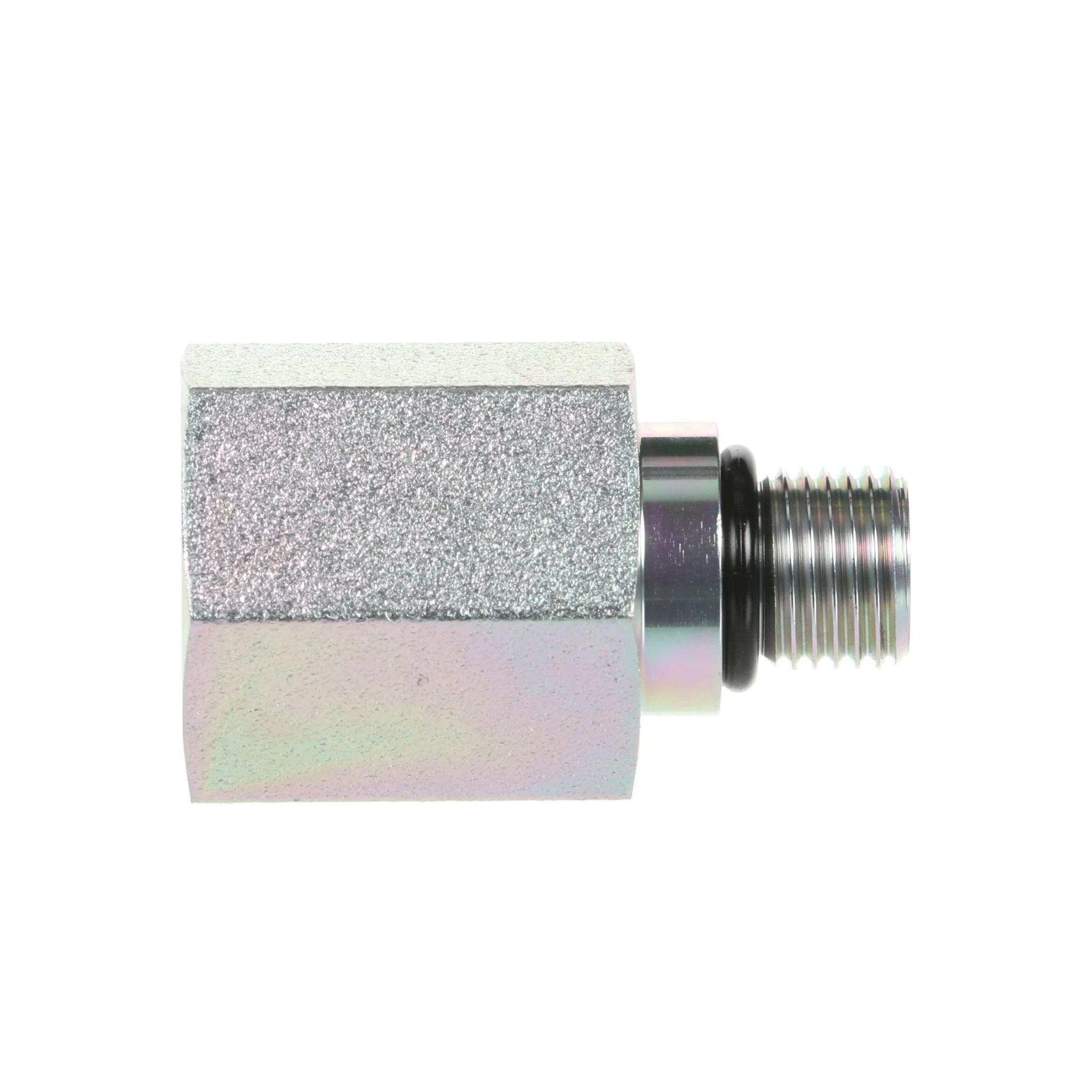 PRISIONEIRO | CASECE | BR | PT