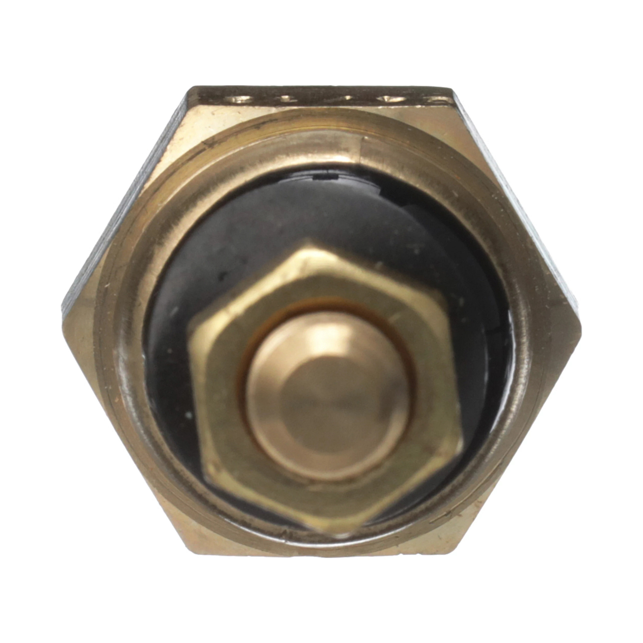 THERMO SONDE | NEWHOLLANDAG | FR | FR