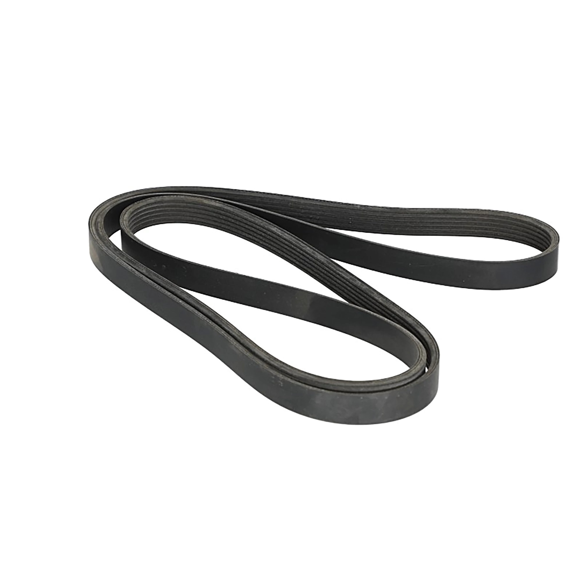 Serpentine Belt | CASECE | US | EN