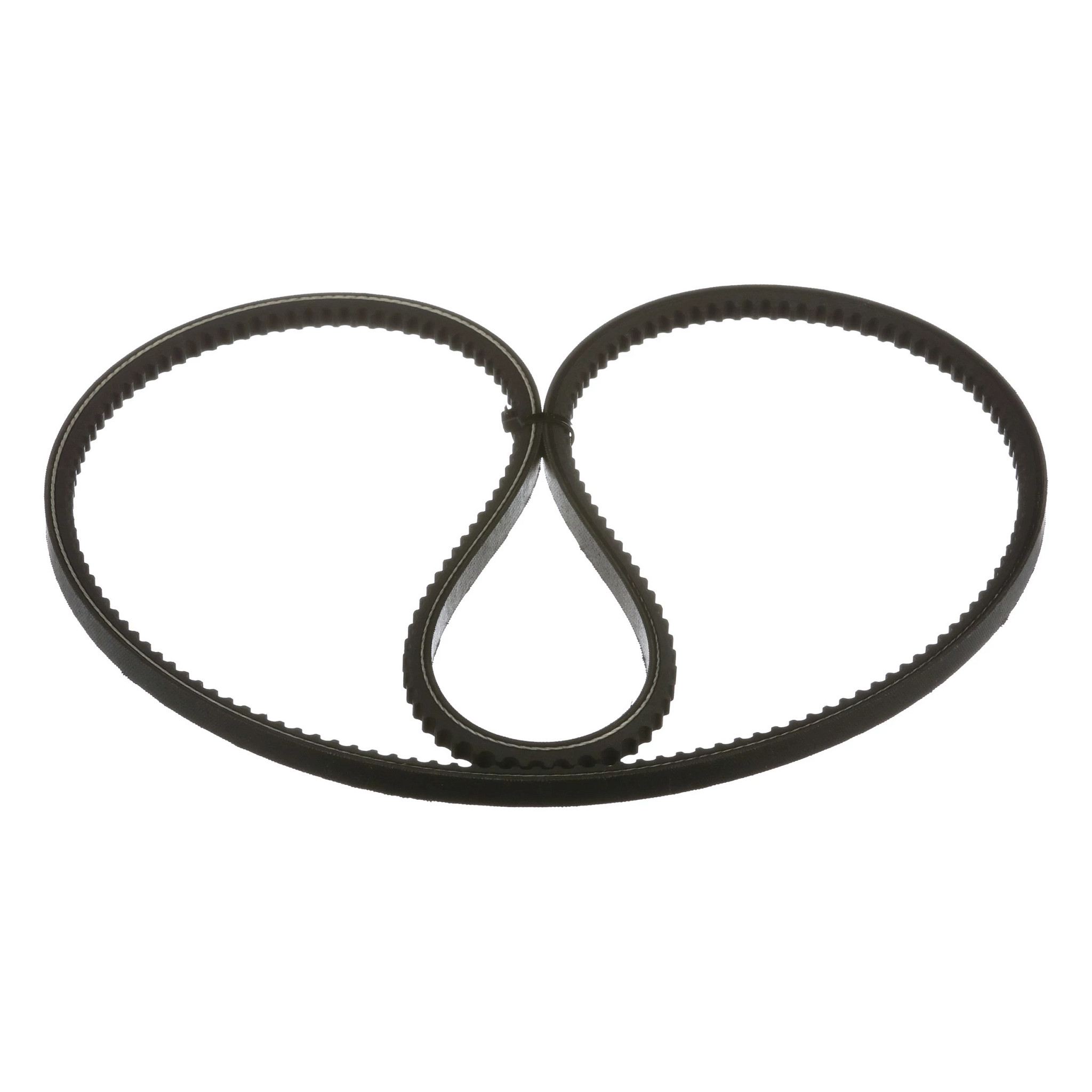 BELT | CASECE | EU | EN