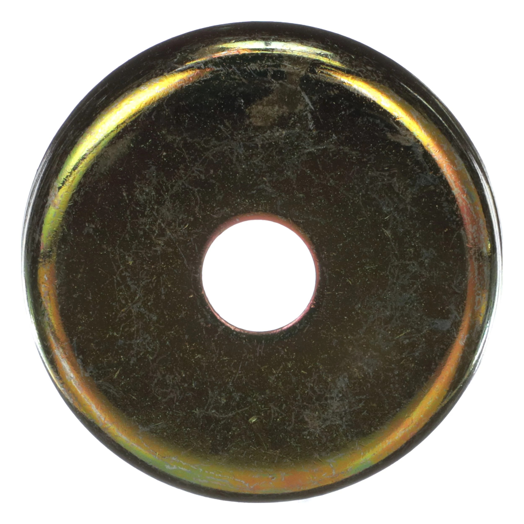 SPRING CUP | CASECE | EU | IT