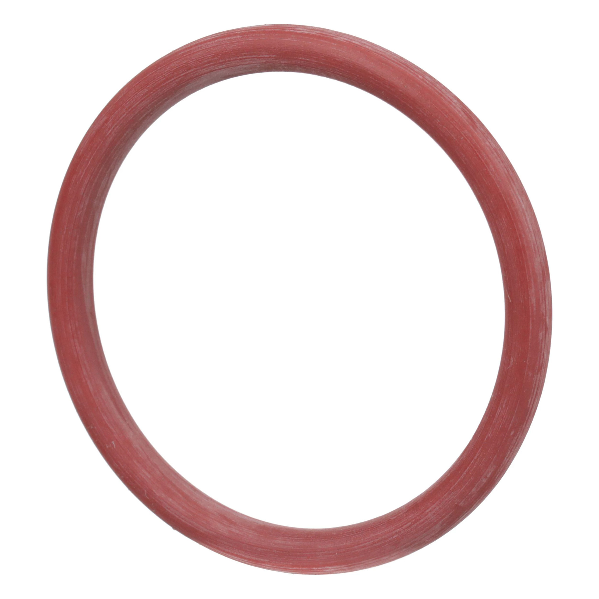 O-Ring | CASECE | US | EN