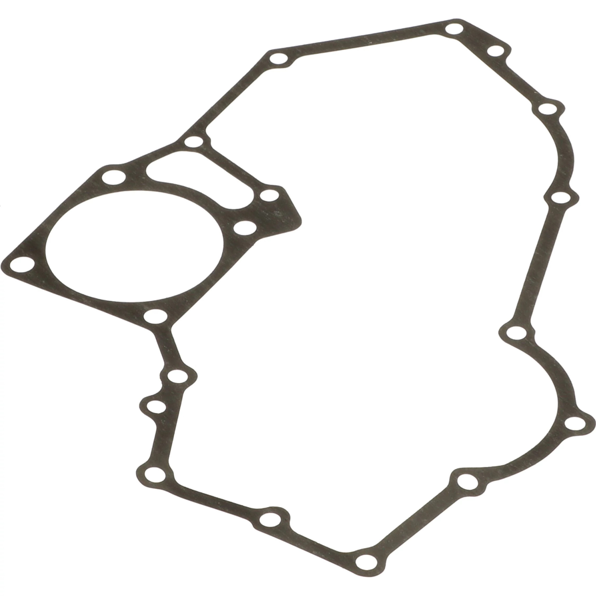 ПРОКЛАДКА | CASEIH | AMEA | RU