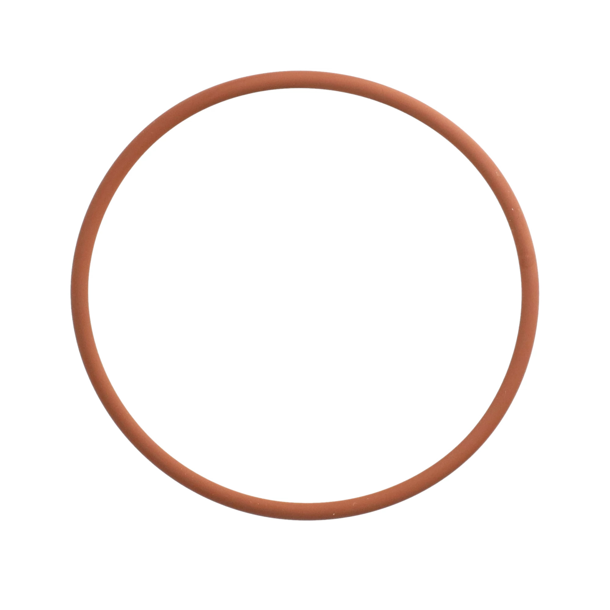 O-RING | CASECE | US | EN