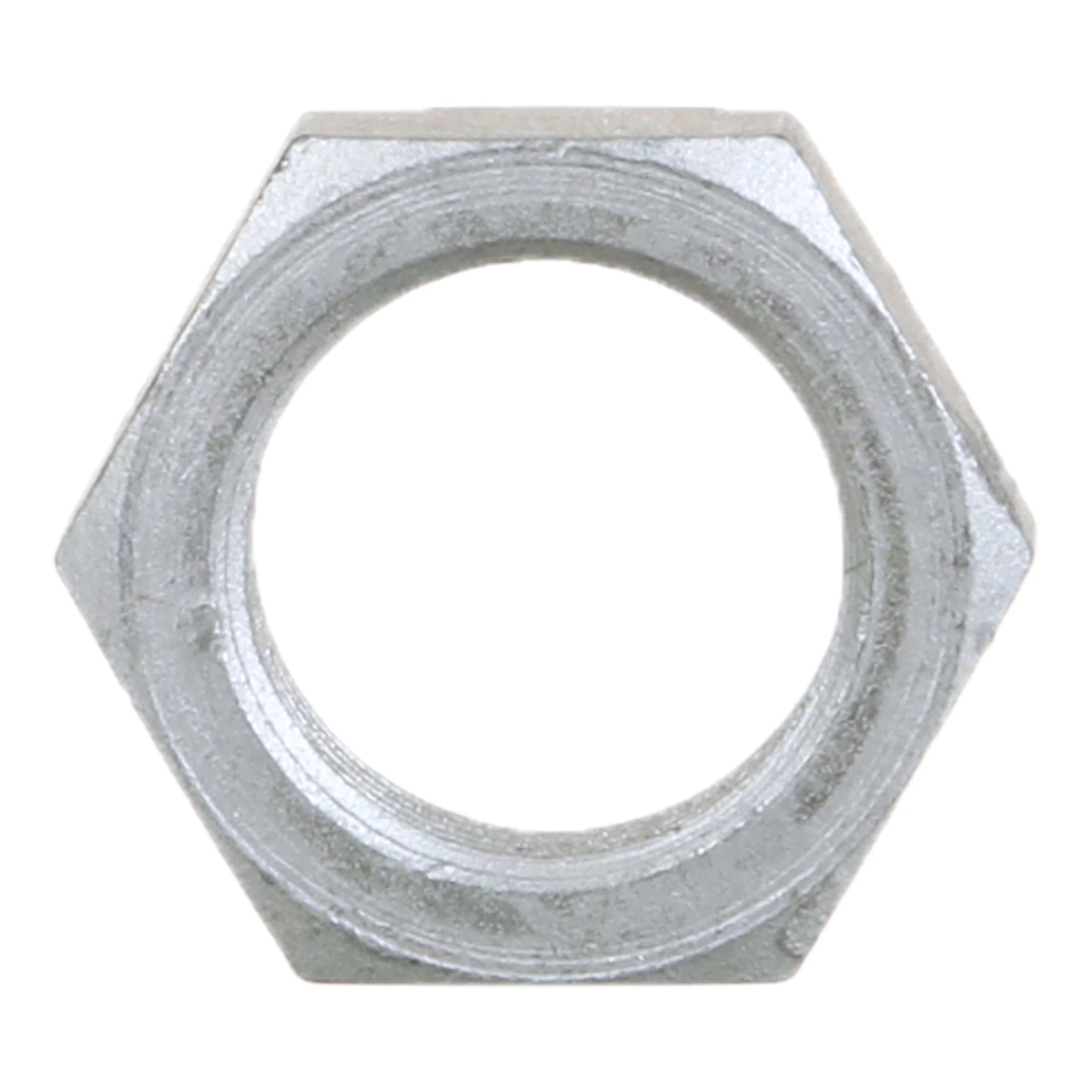 THIN NUT | CASECE | US | EN