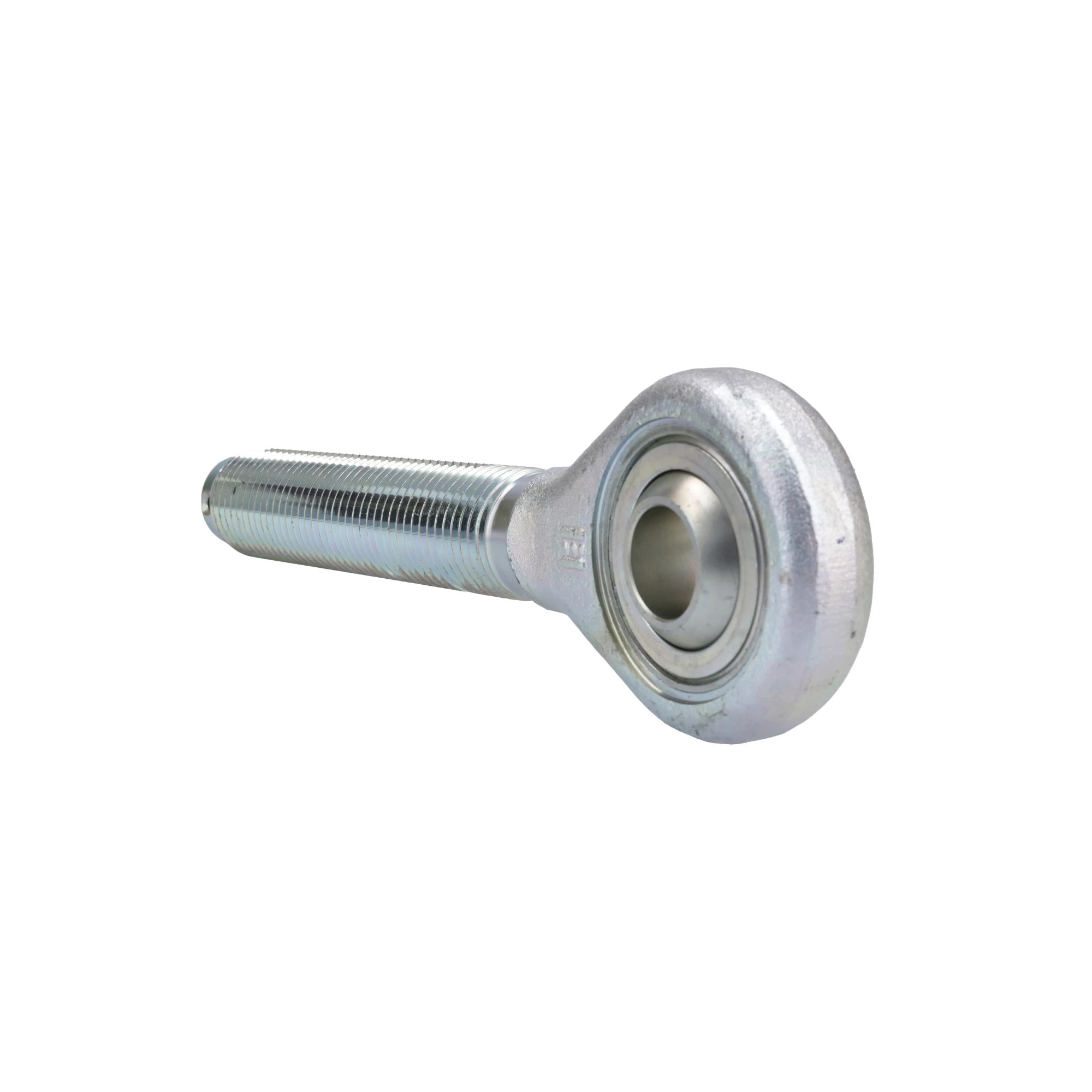 EXTRENIDADE | CASECE | EU | EN