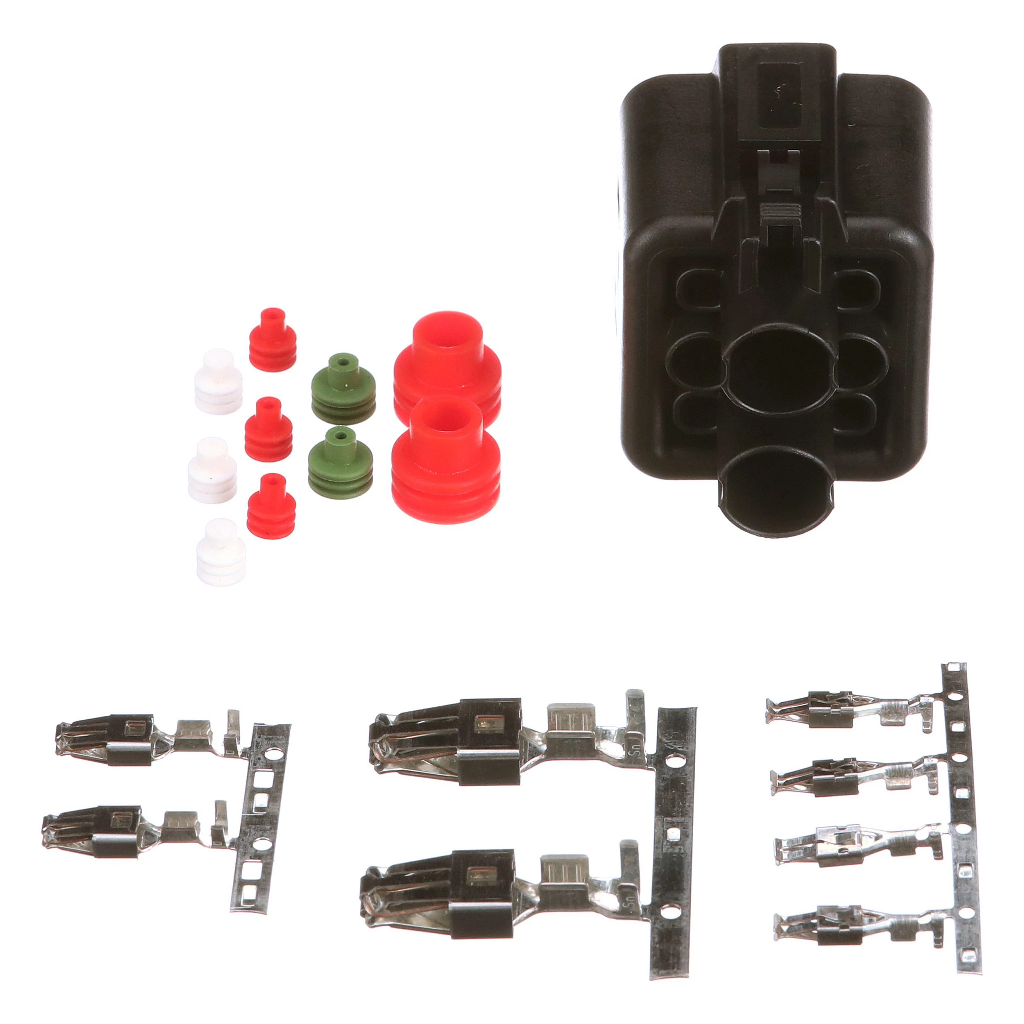 SOCKET | CASECE | CA | EN