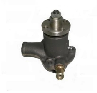 Pompe à eau | CASEIH | EU | IT