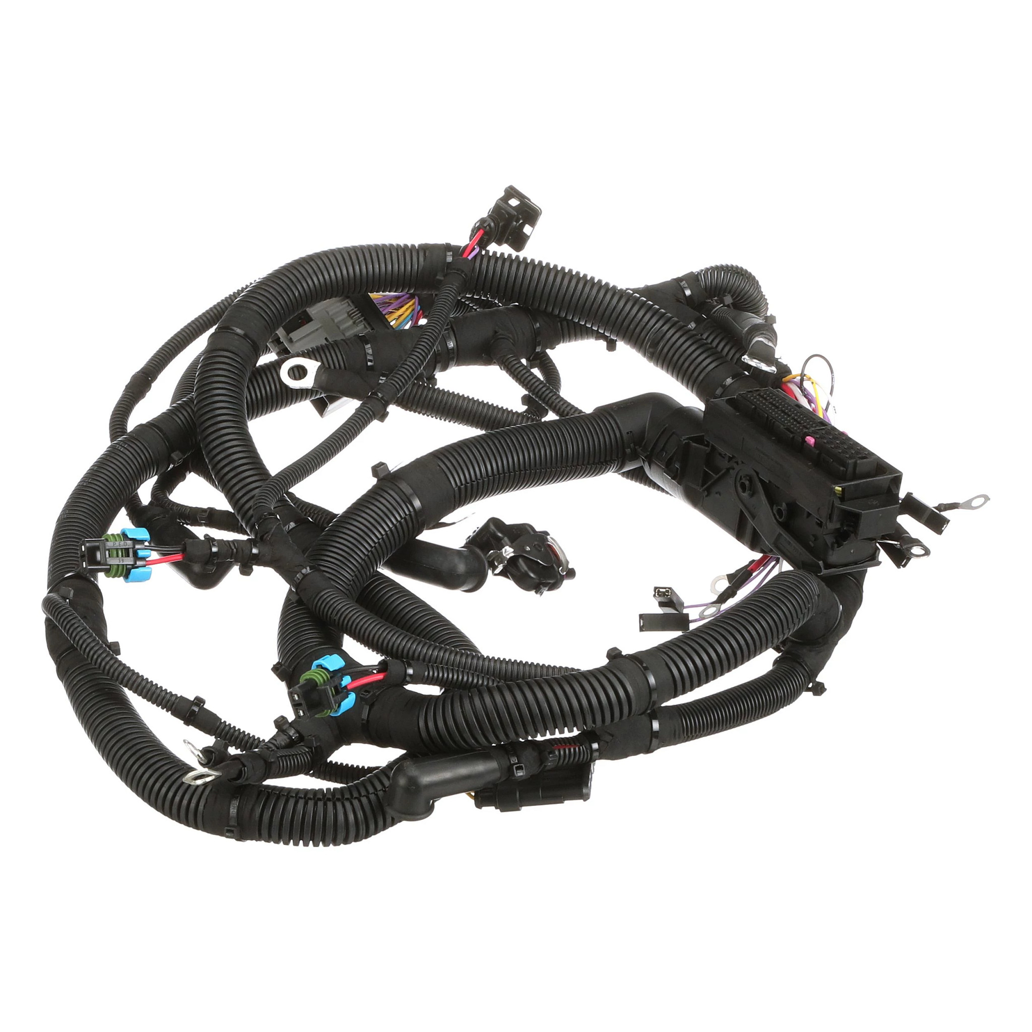 Engine Wire Harness