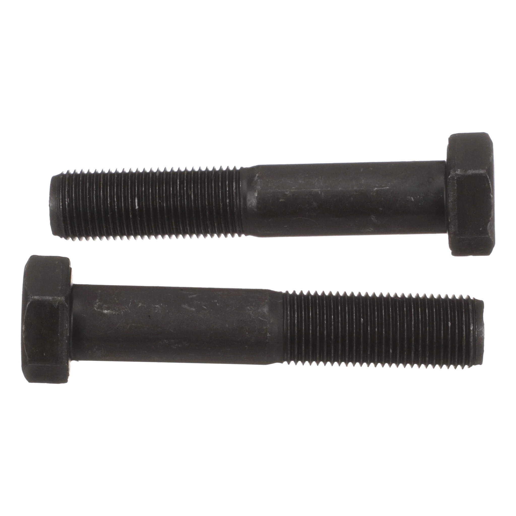 TORNILLO | CASECE | EU | ES