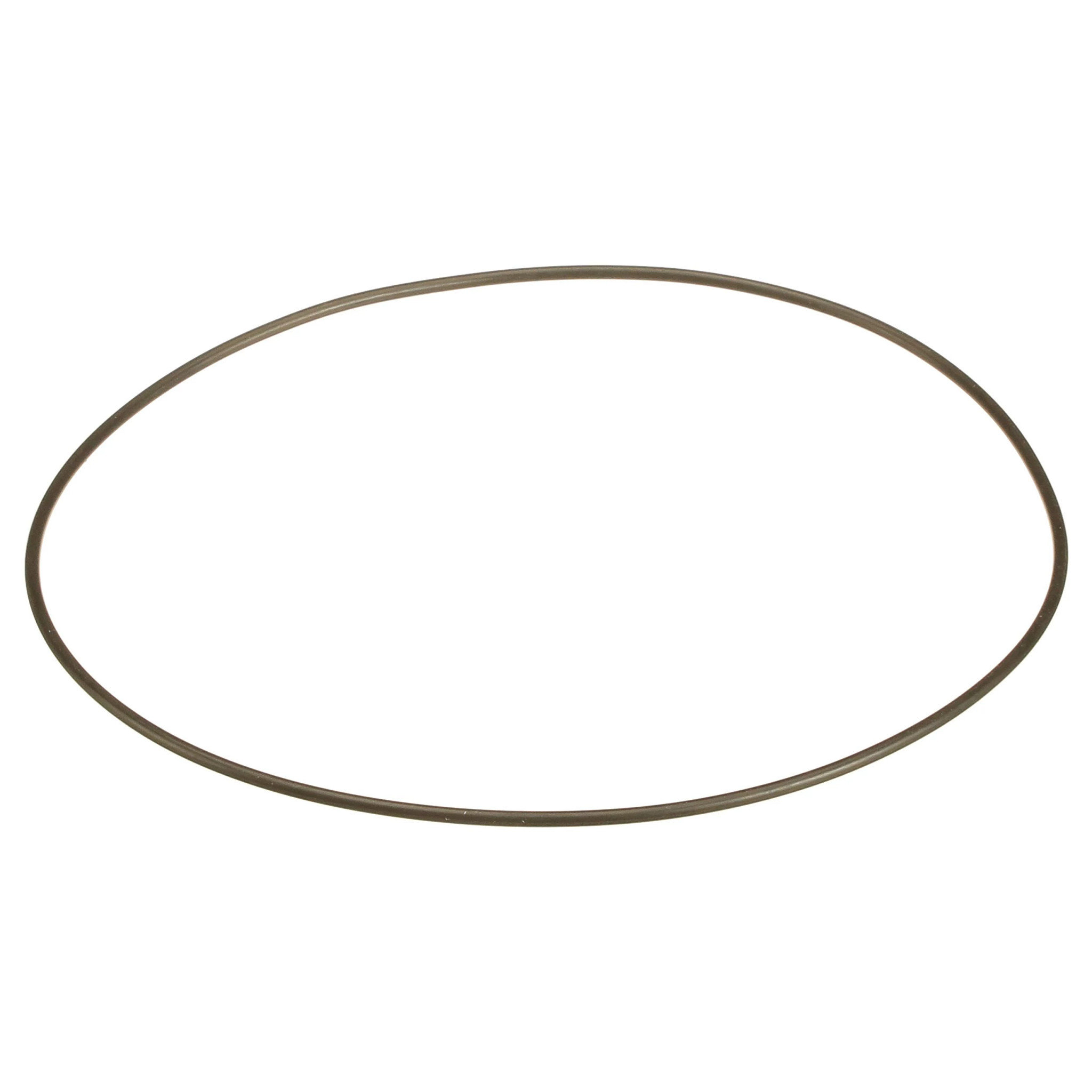 O-RING | NEWHOLLANDCE | EU | EN