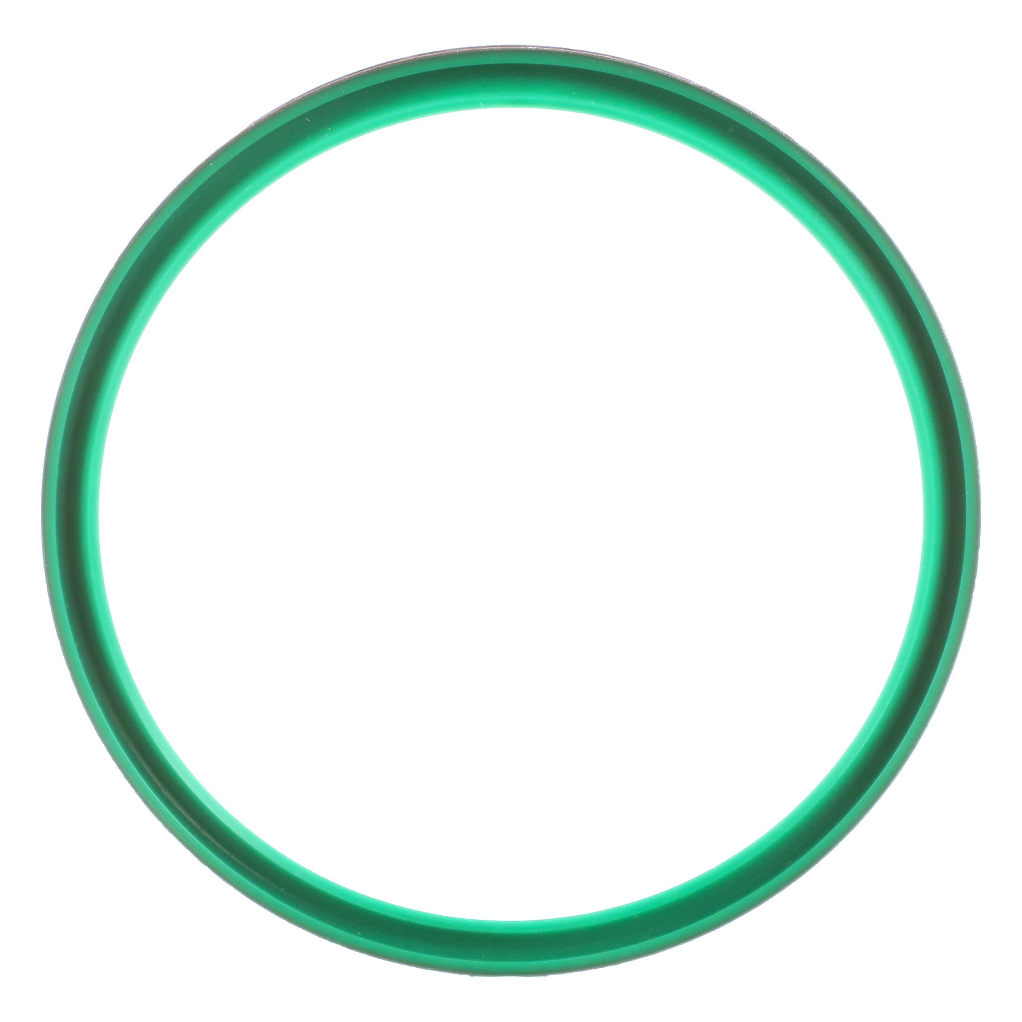 WIPER SEAL | CASEIH | EU | NL