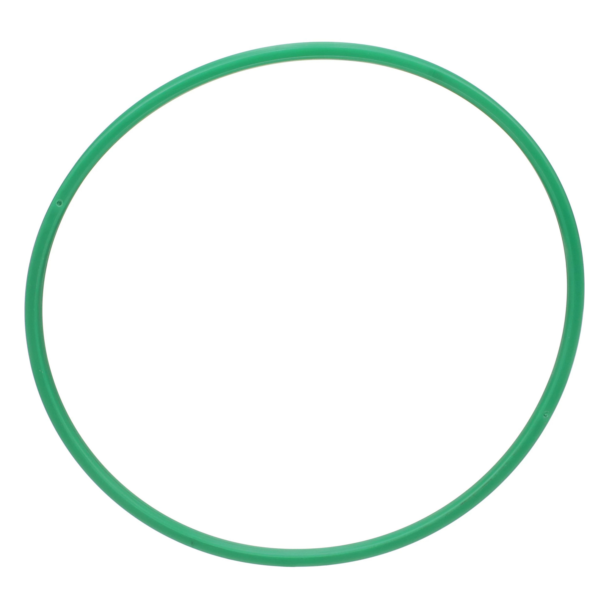 BACK-UP RING | CASECE | CA | EN