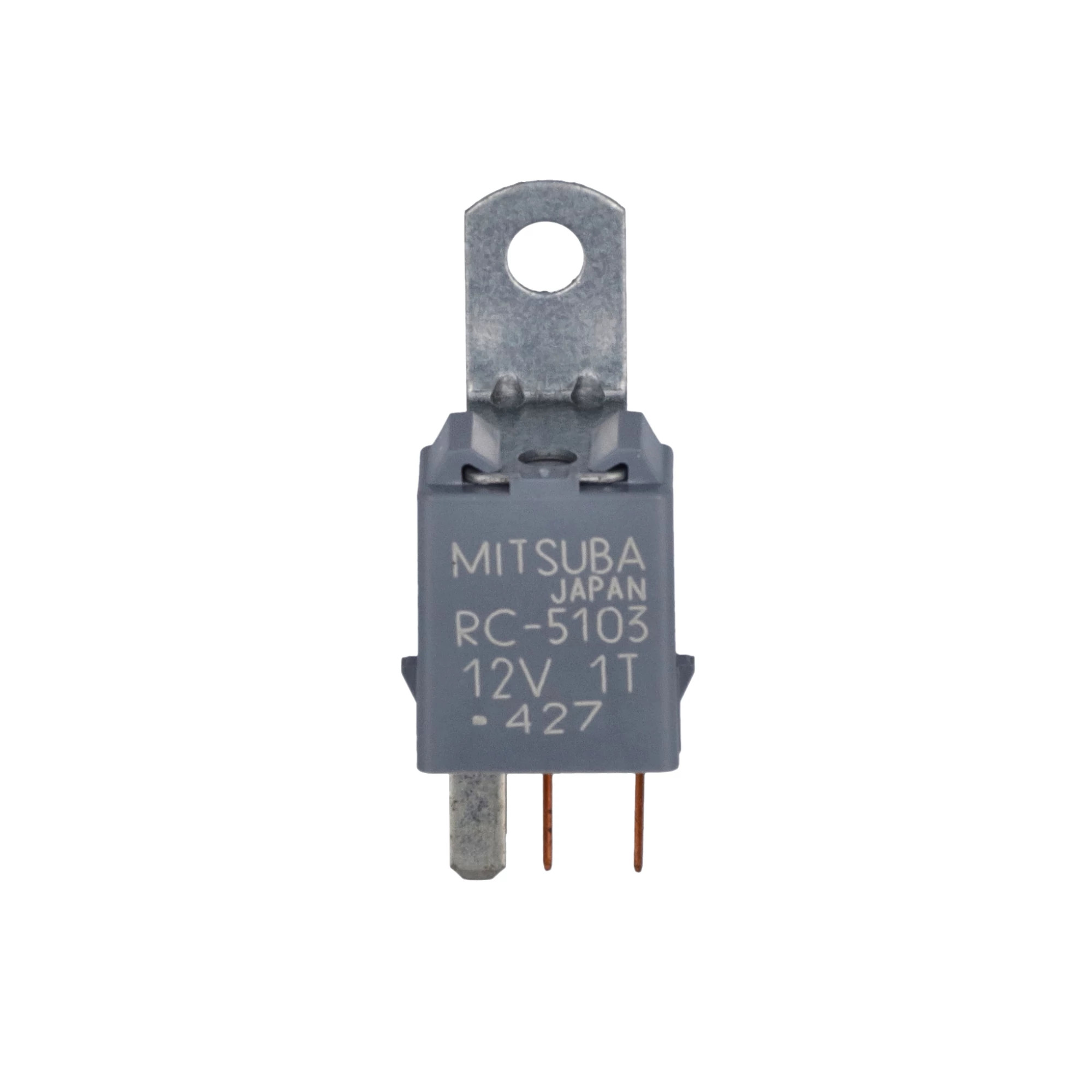 RELÉ | CASECE | EU | ES