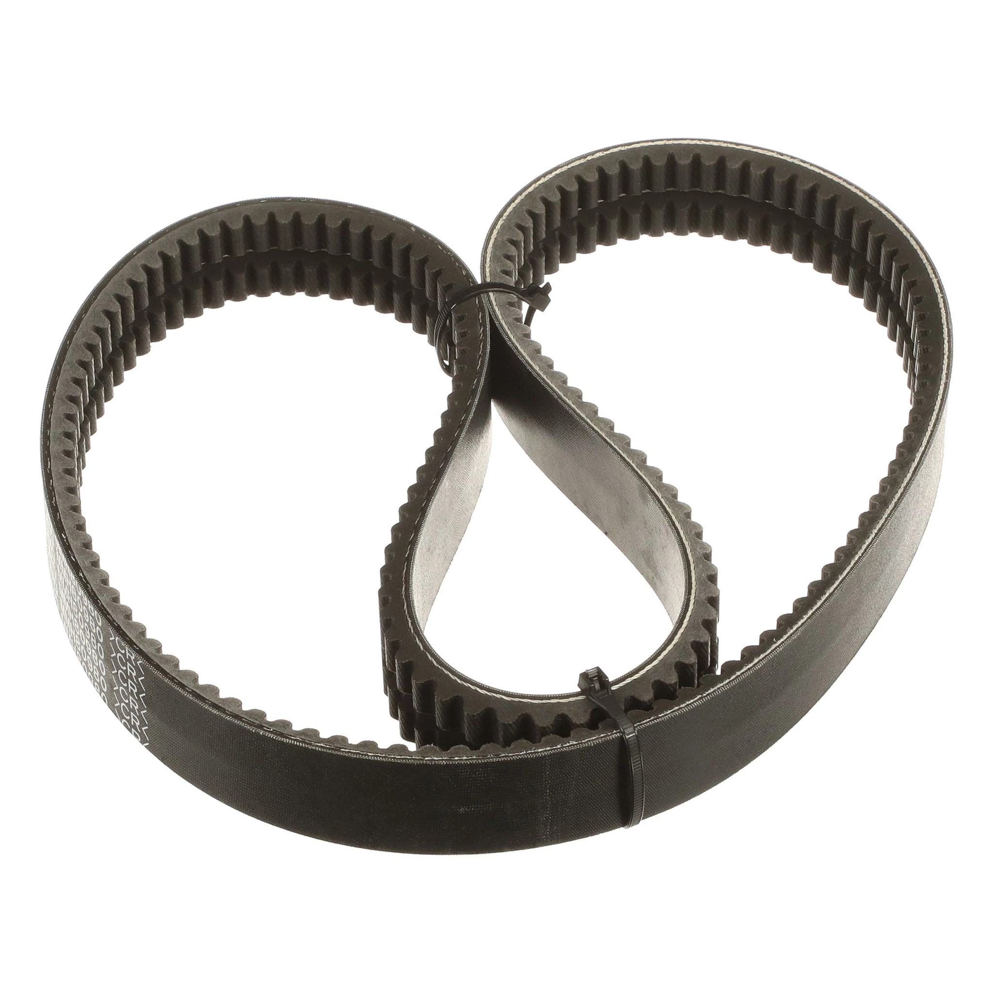 BELT | CASECE | US | EN