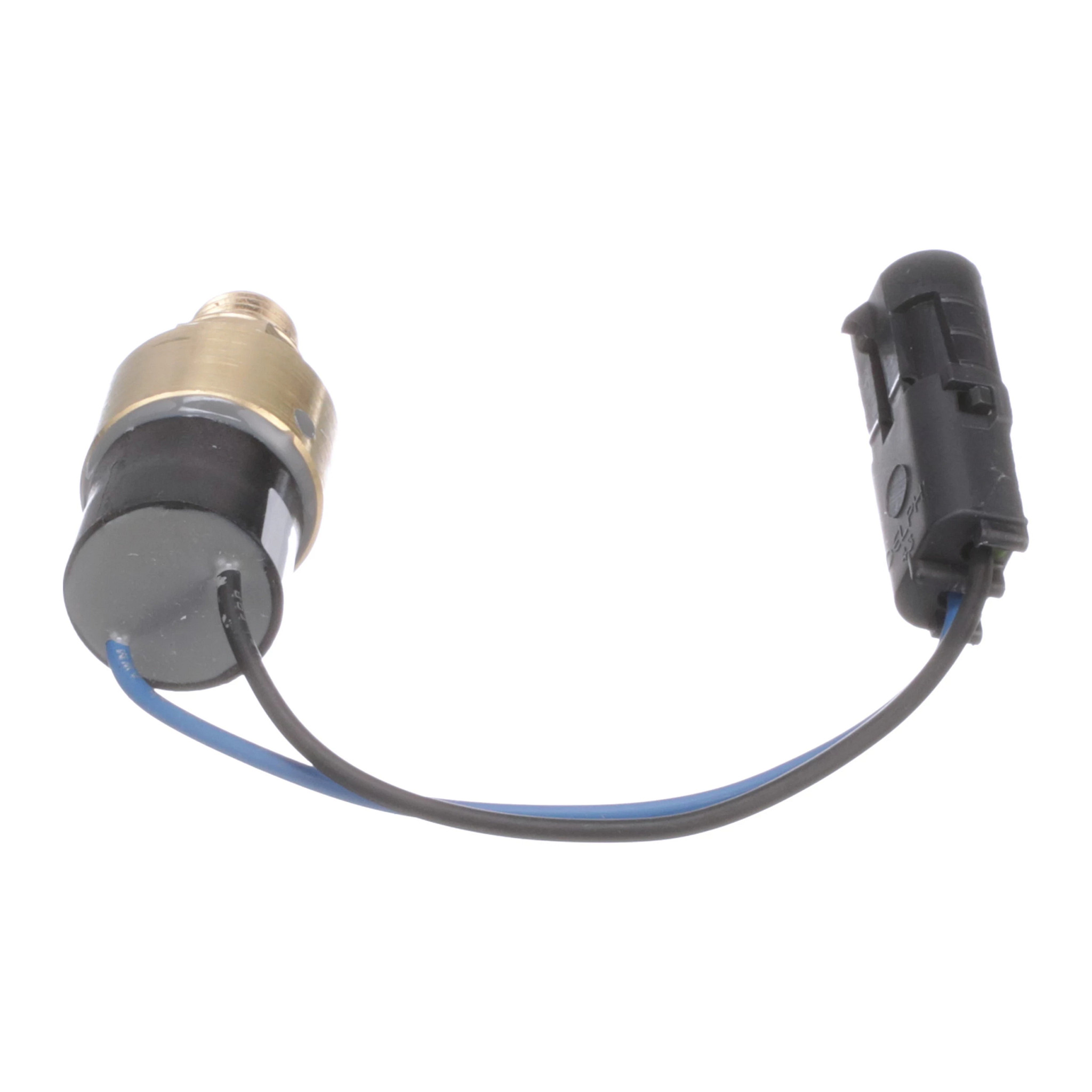 INTERRUPTOR DE PRESS | CASECE | EU | PT