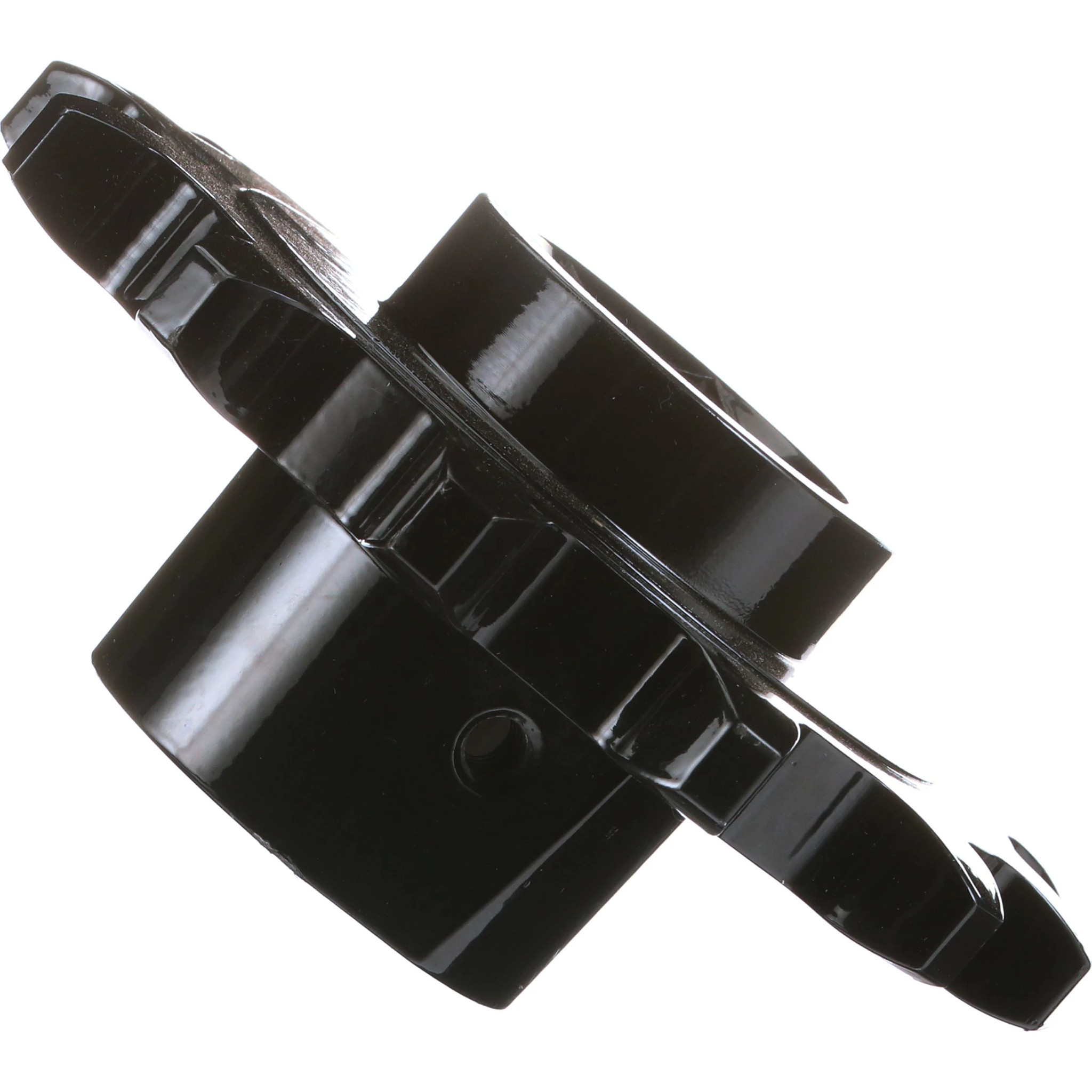 PIÑÓN | CASECE | EU | ES