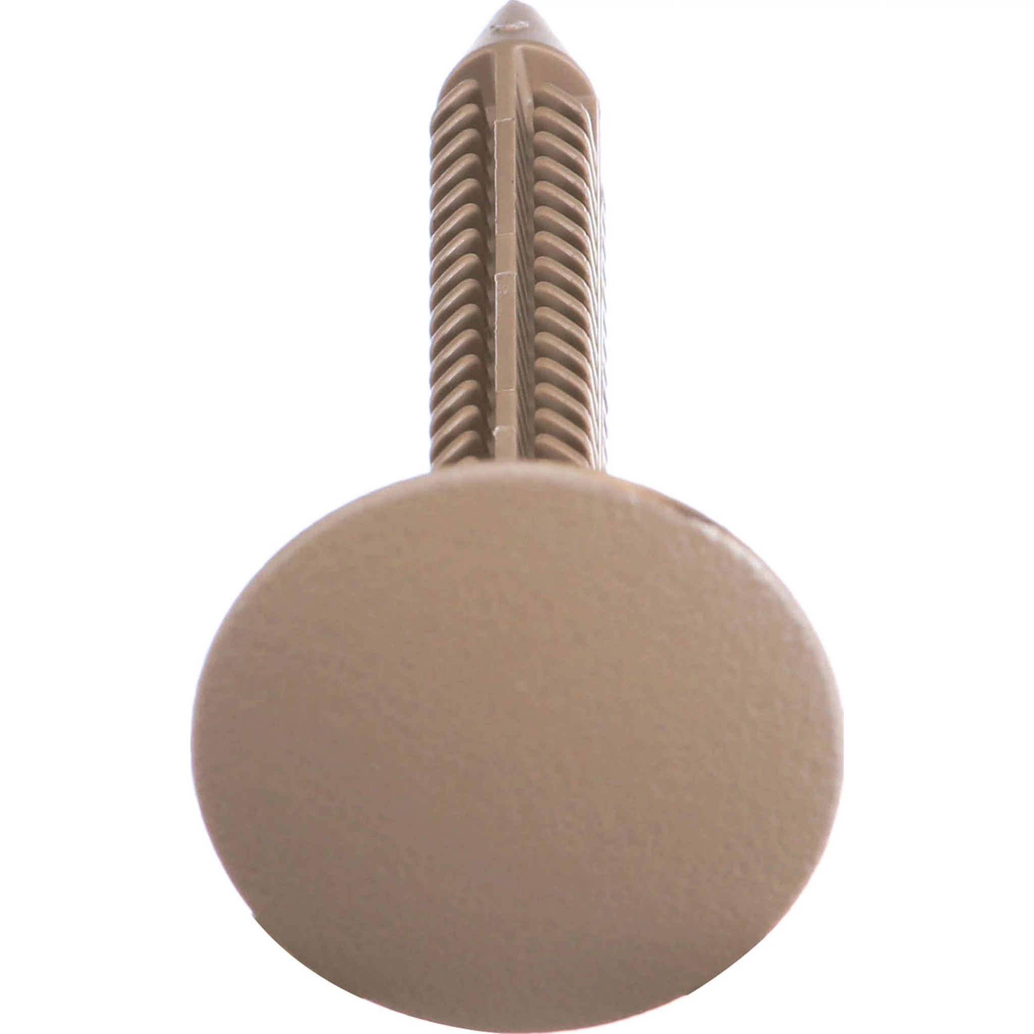 FASTENER | CASECE | US | EN