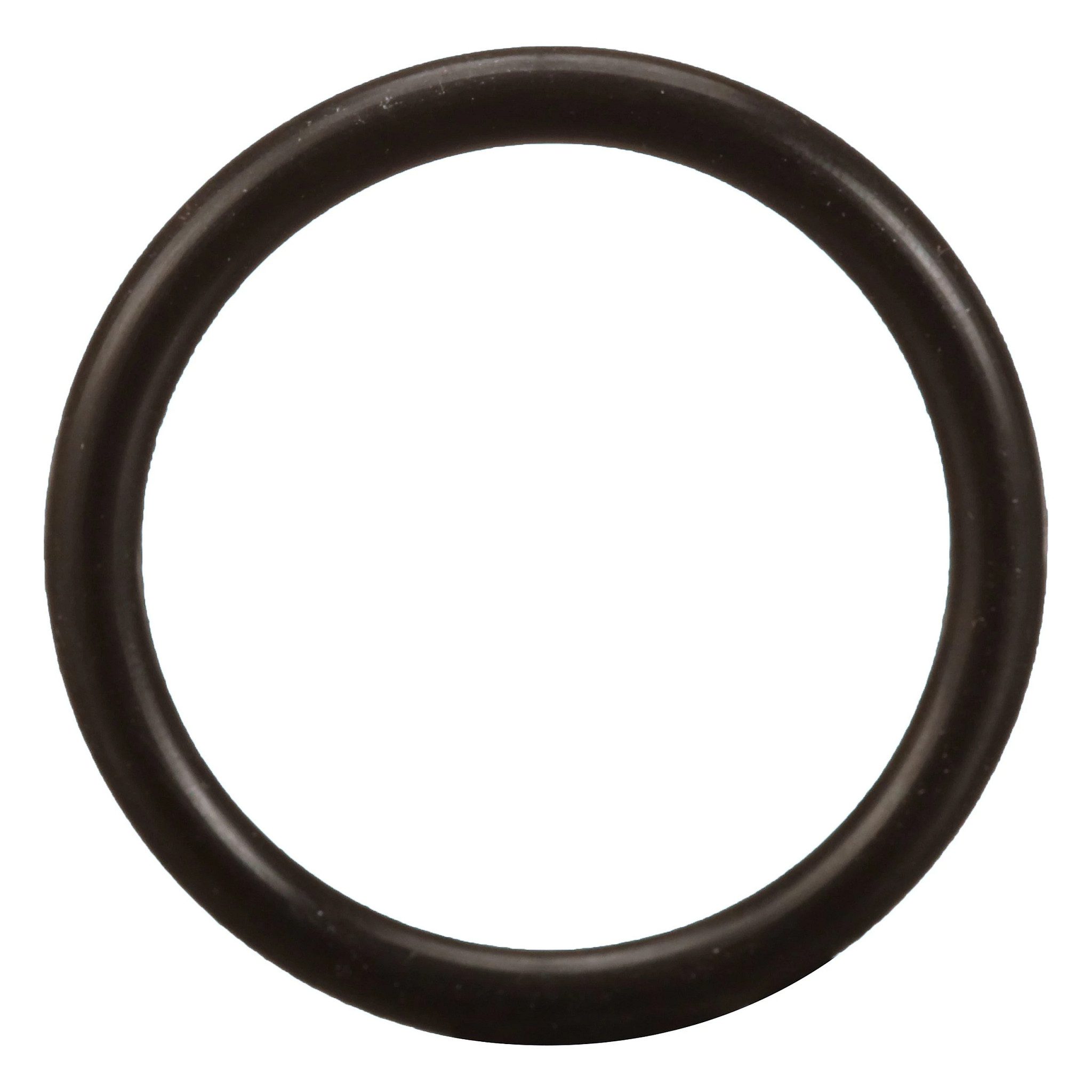 O-RING | CASECE | EU | EN