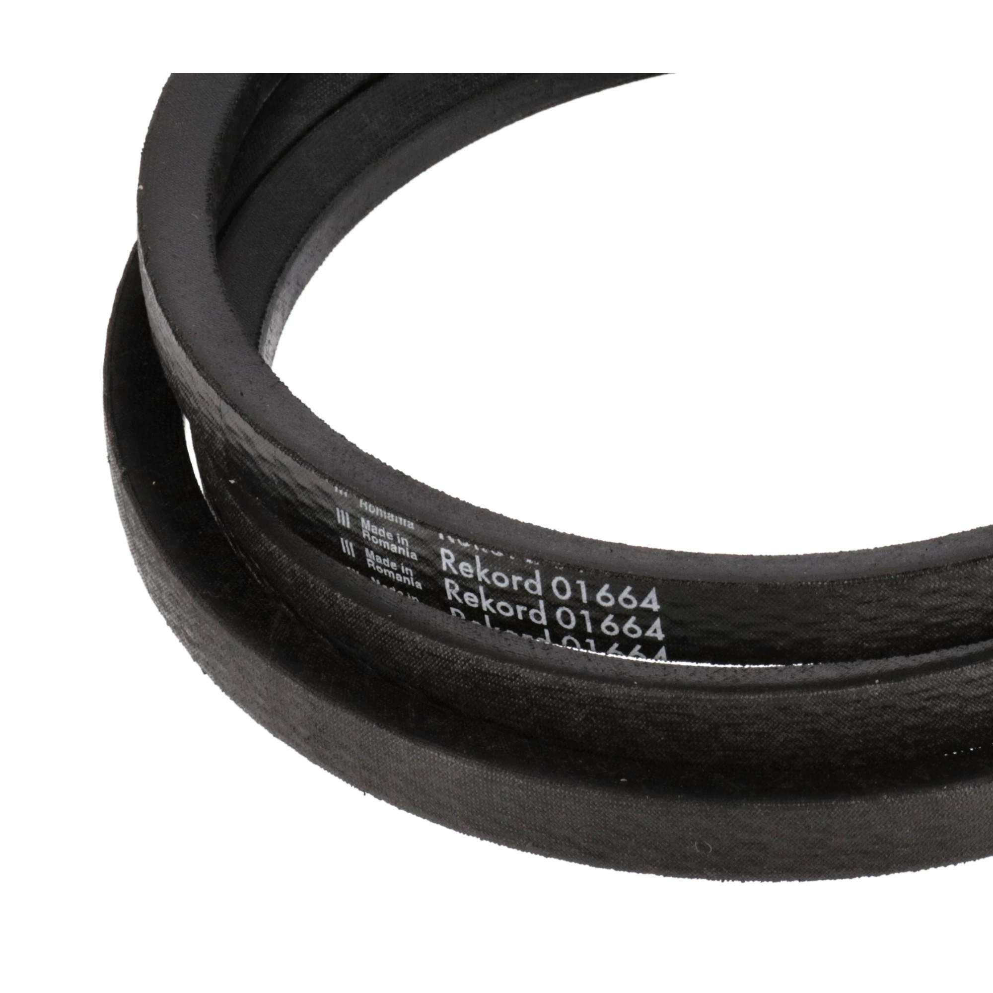 V-Belt | CASECE | EU | EN